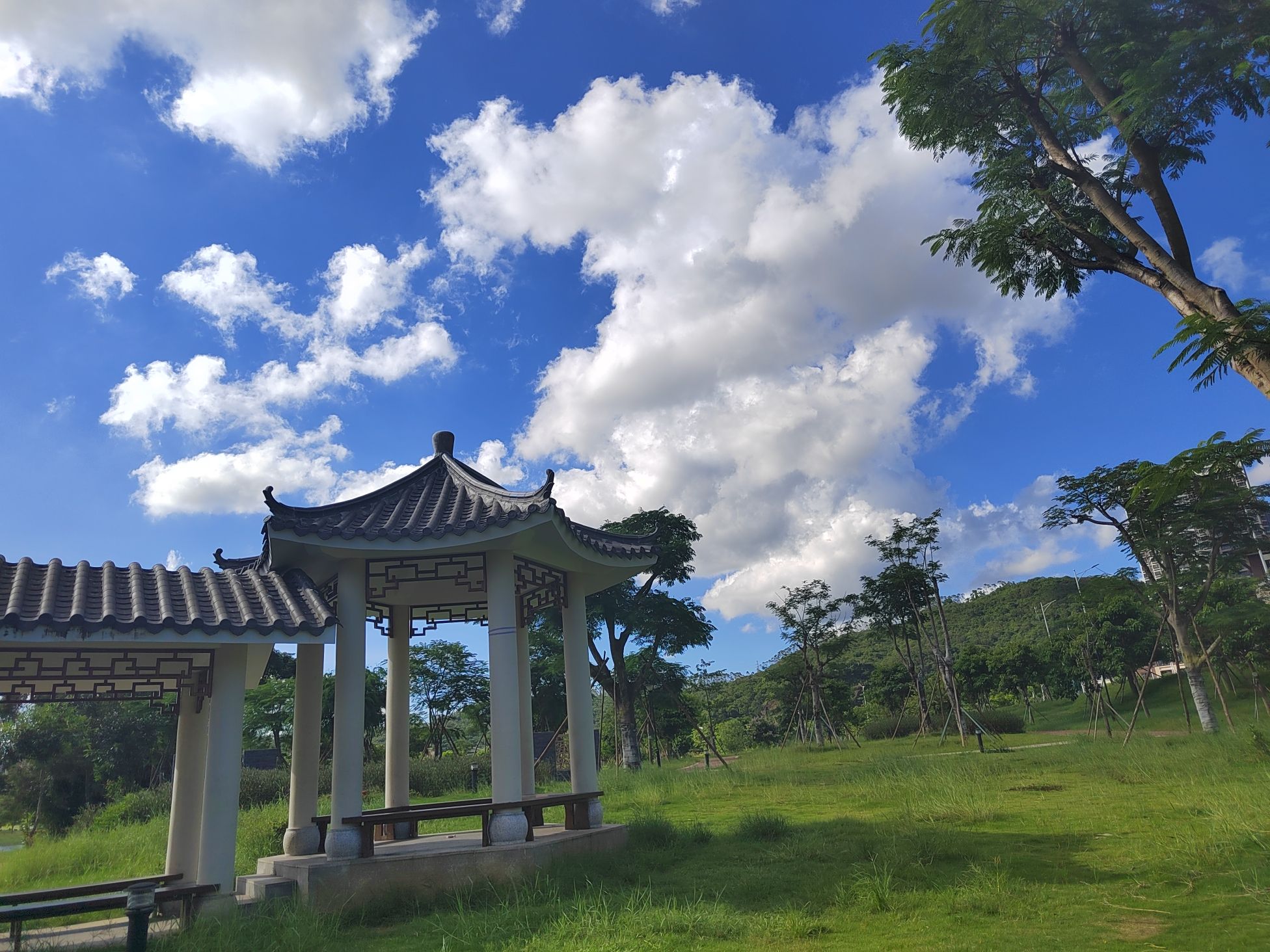 共青湖公园