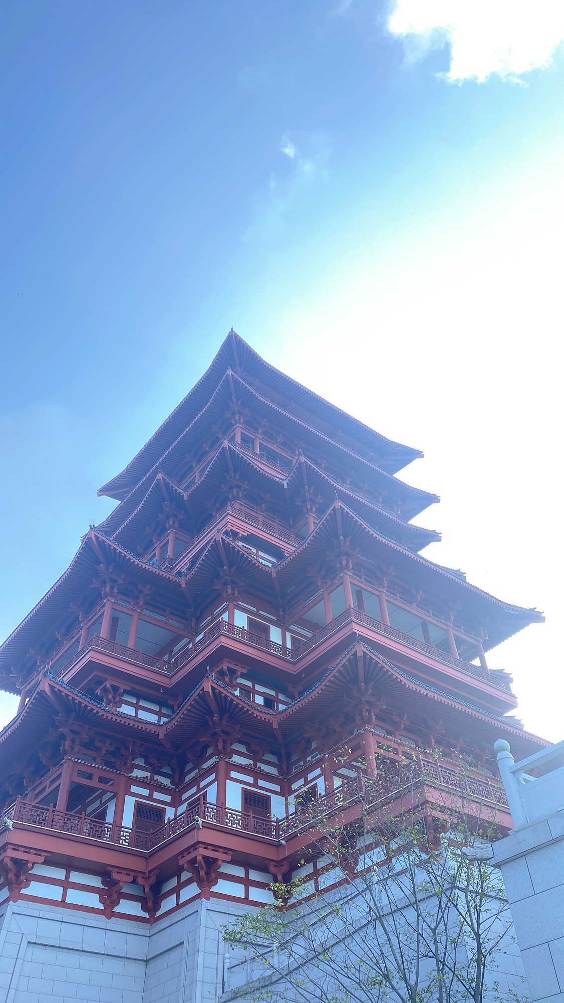 张九龄纪念公园旅行图片 2