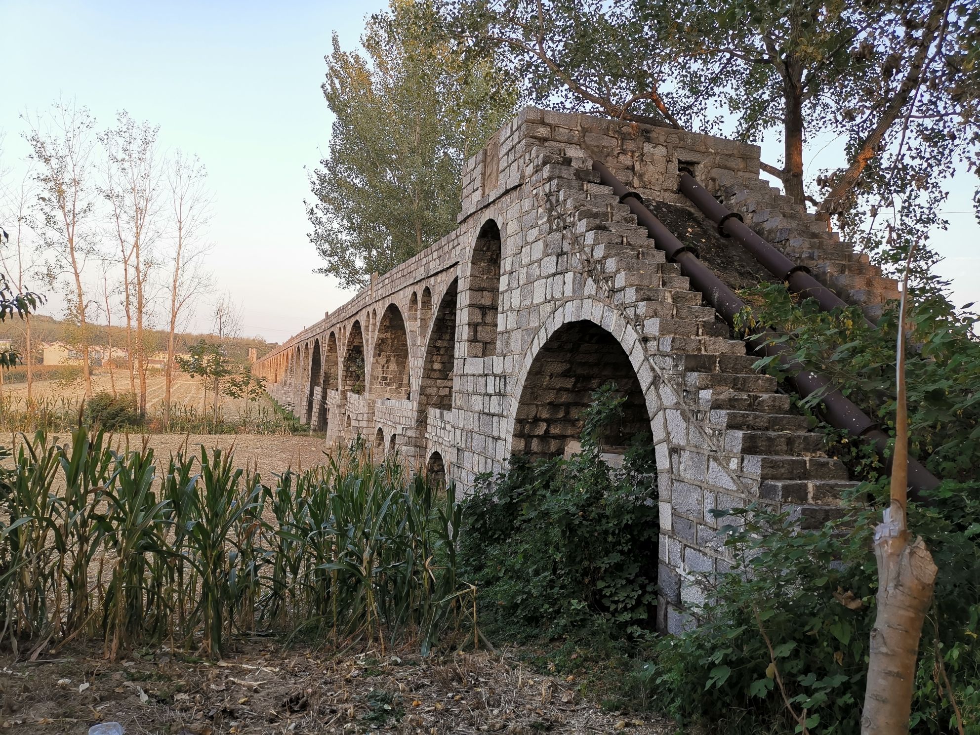 赵集二级扬水站旧址旅行图片 1