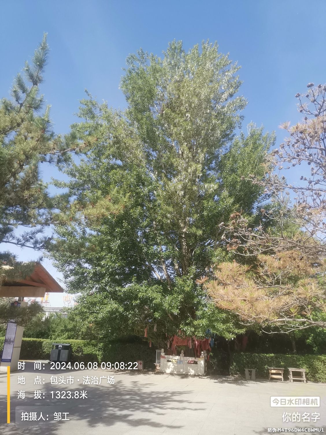 法治广场旅行图片 3