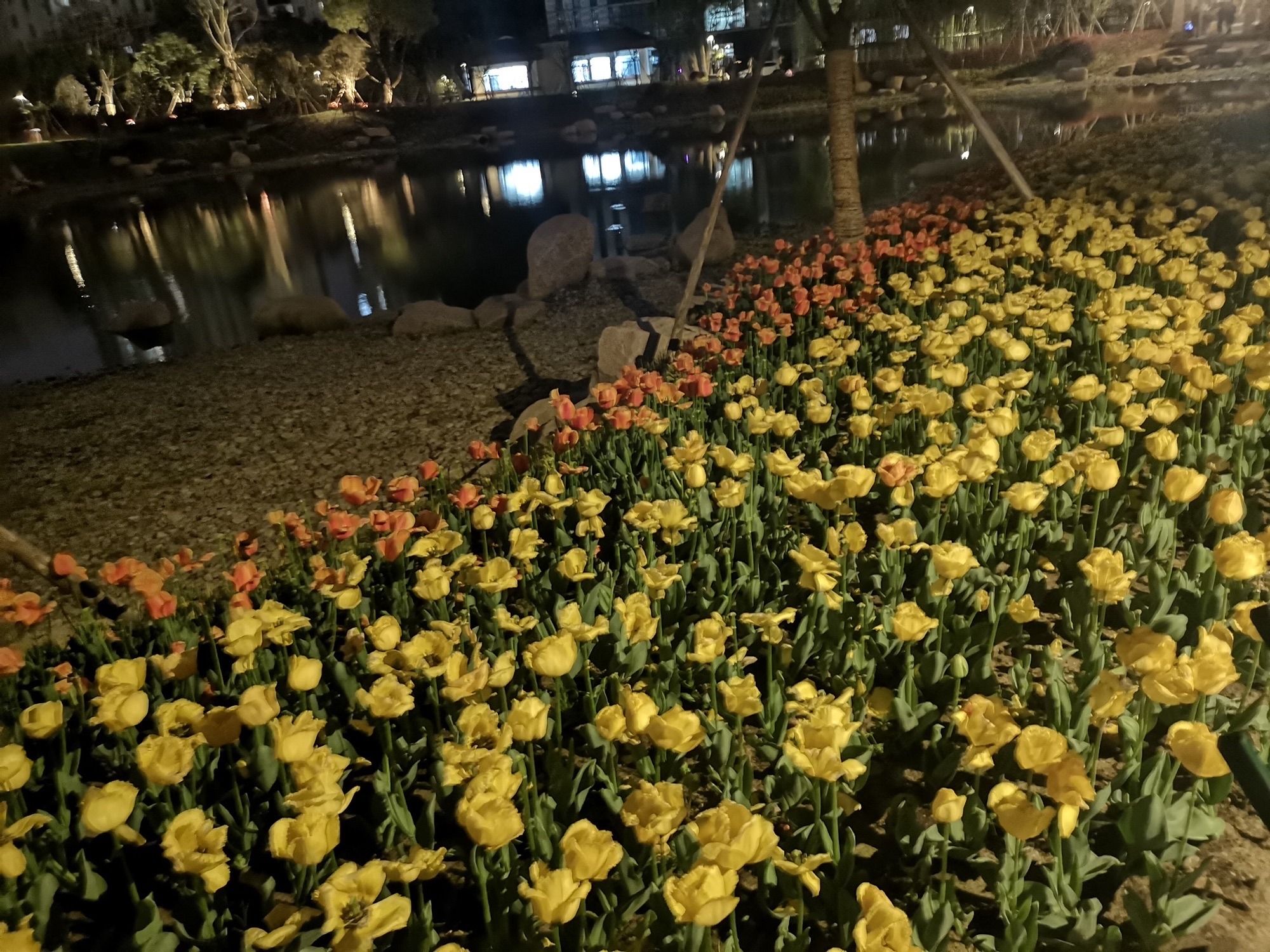定海湿地公园旅行图片 3