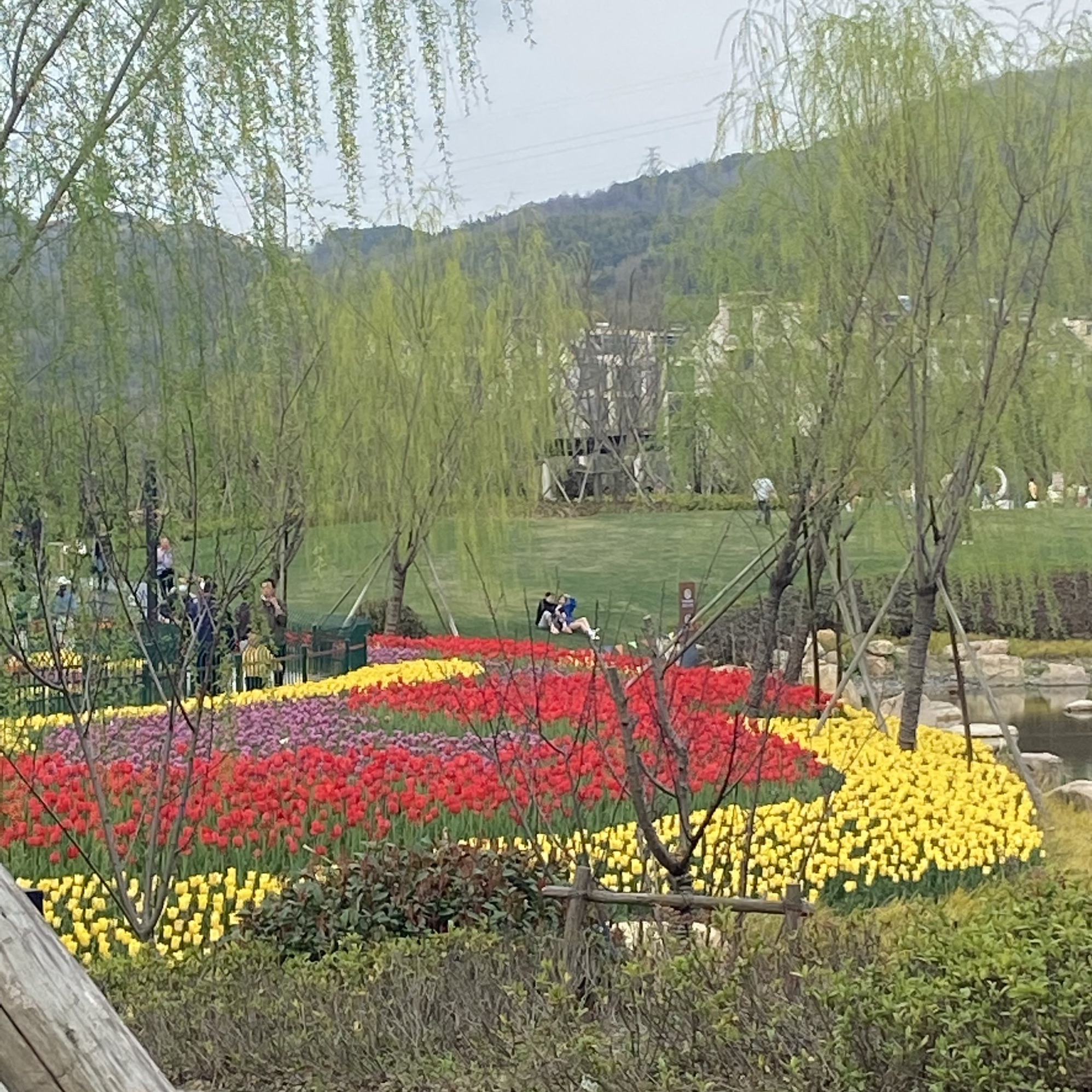 定海湿地公园旅行图片 3