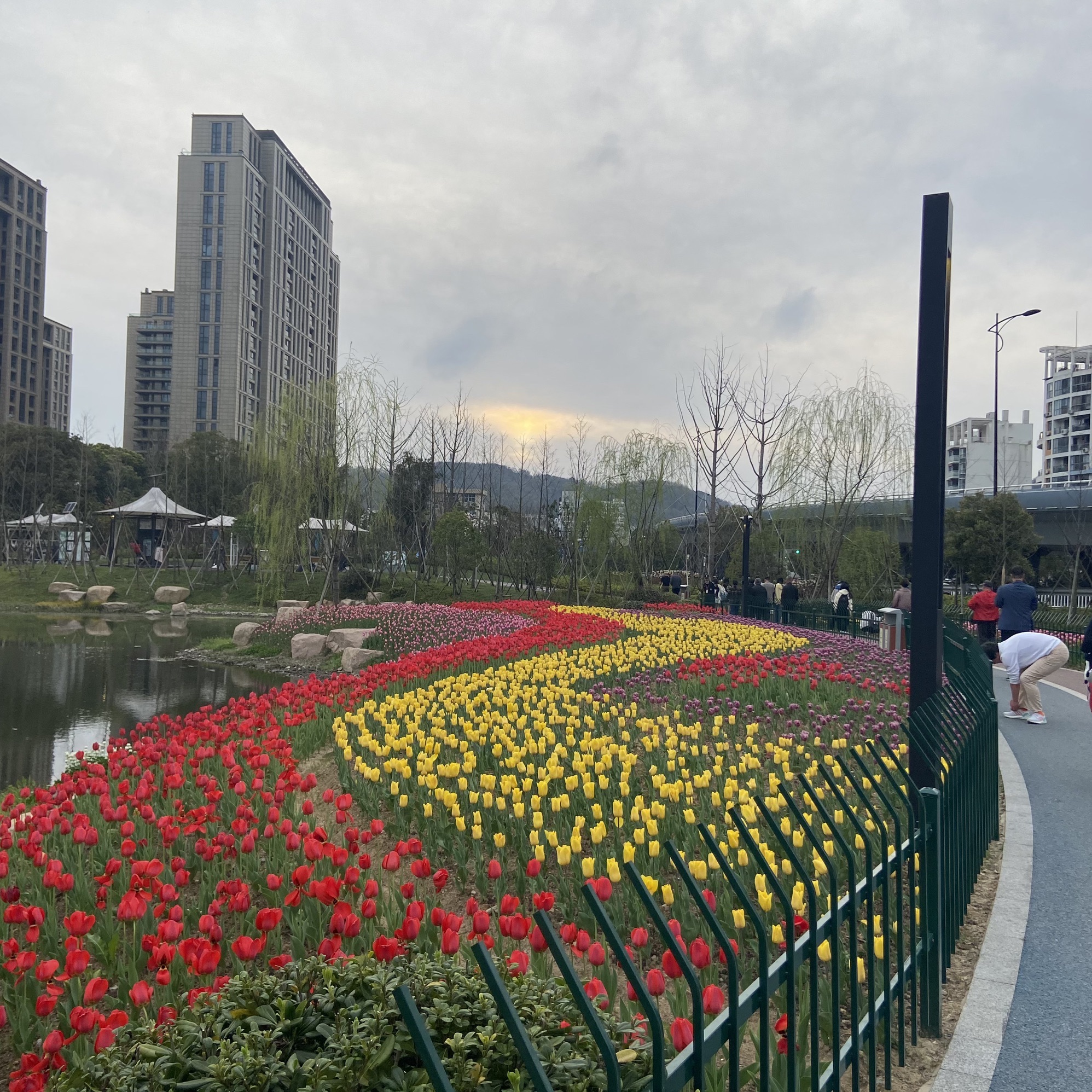定海湿地公园旅行图片 2
