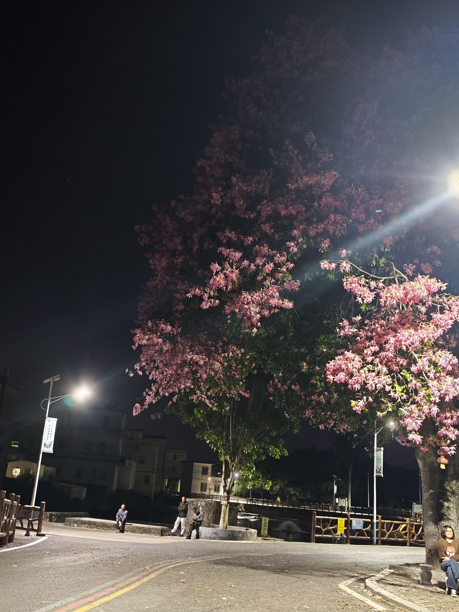关山月故居旅行图片 1