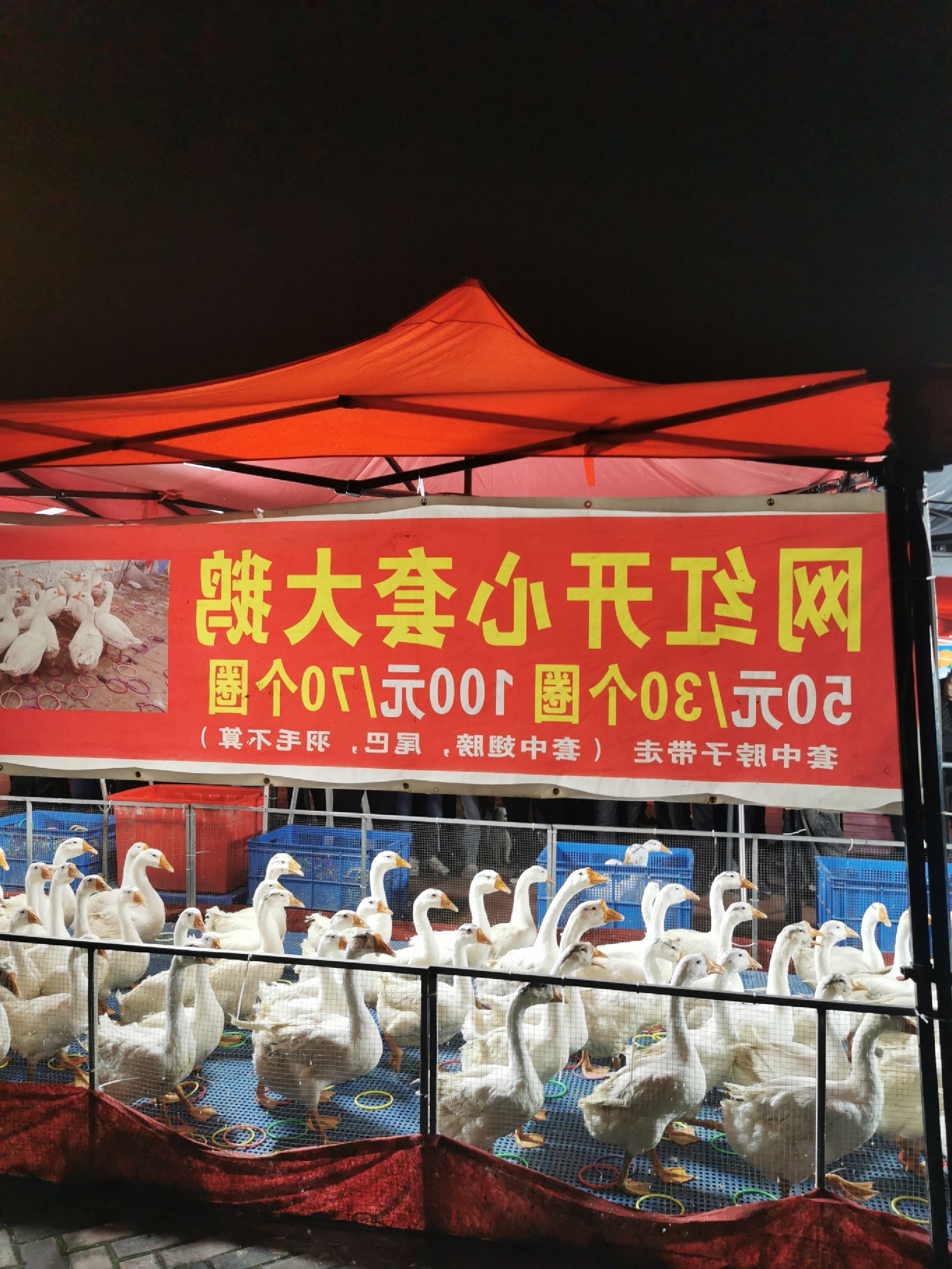 沧宁安全文化公园旅行图片 1