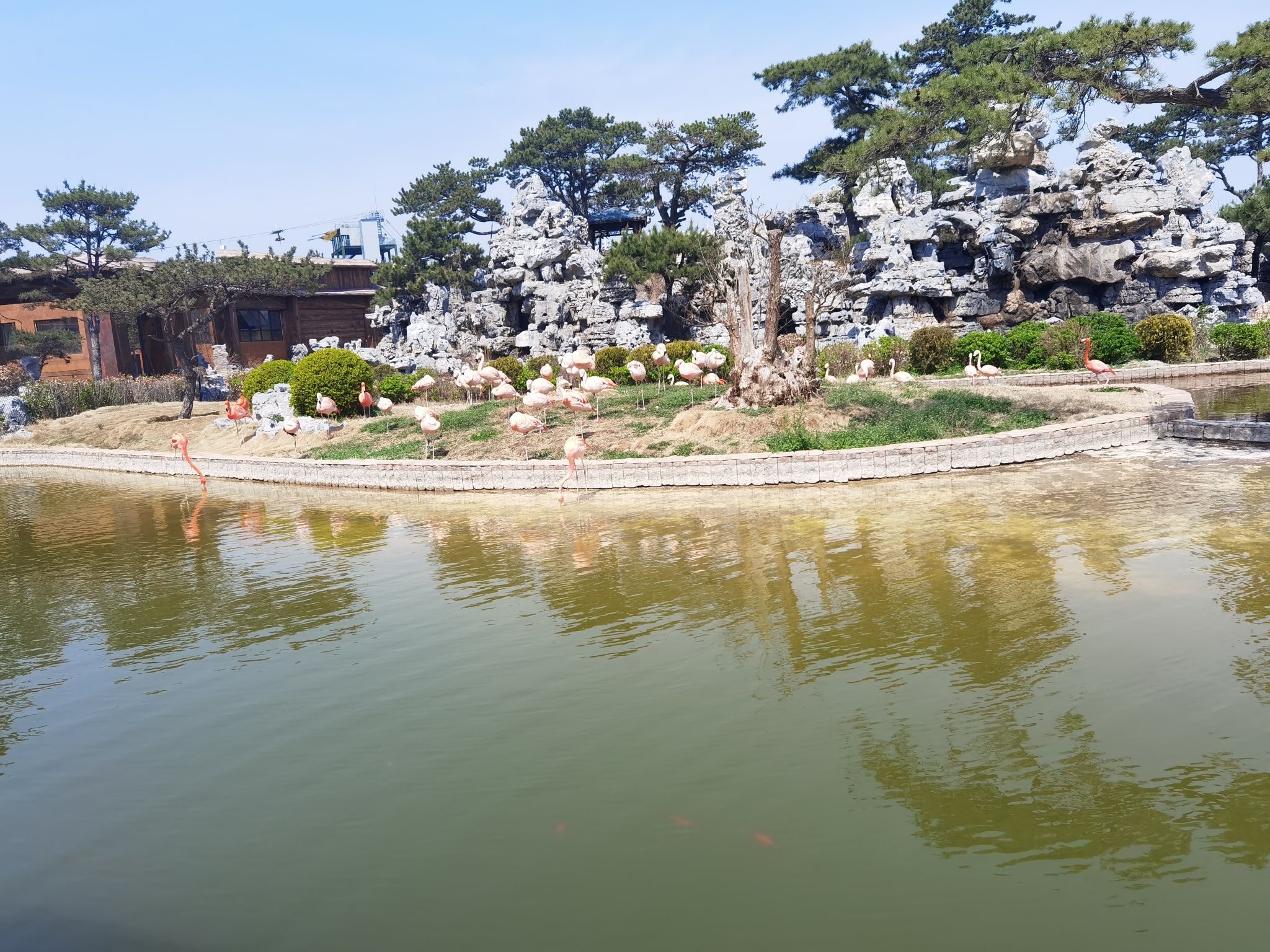泉城欧乐堡动物王国旅行图片 1