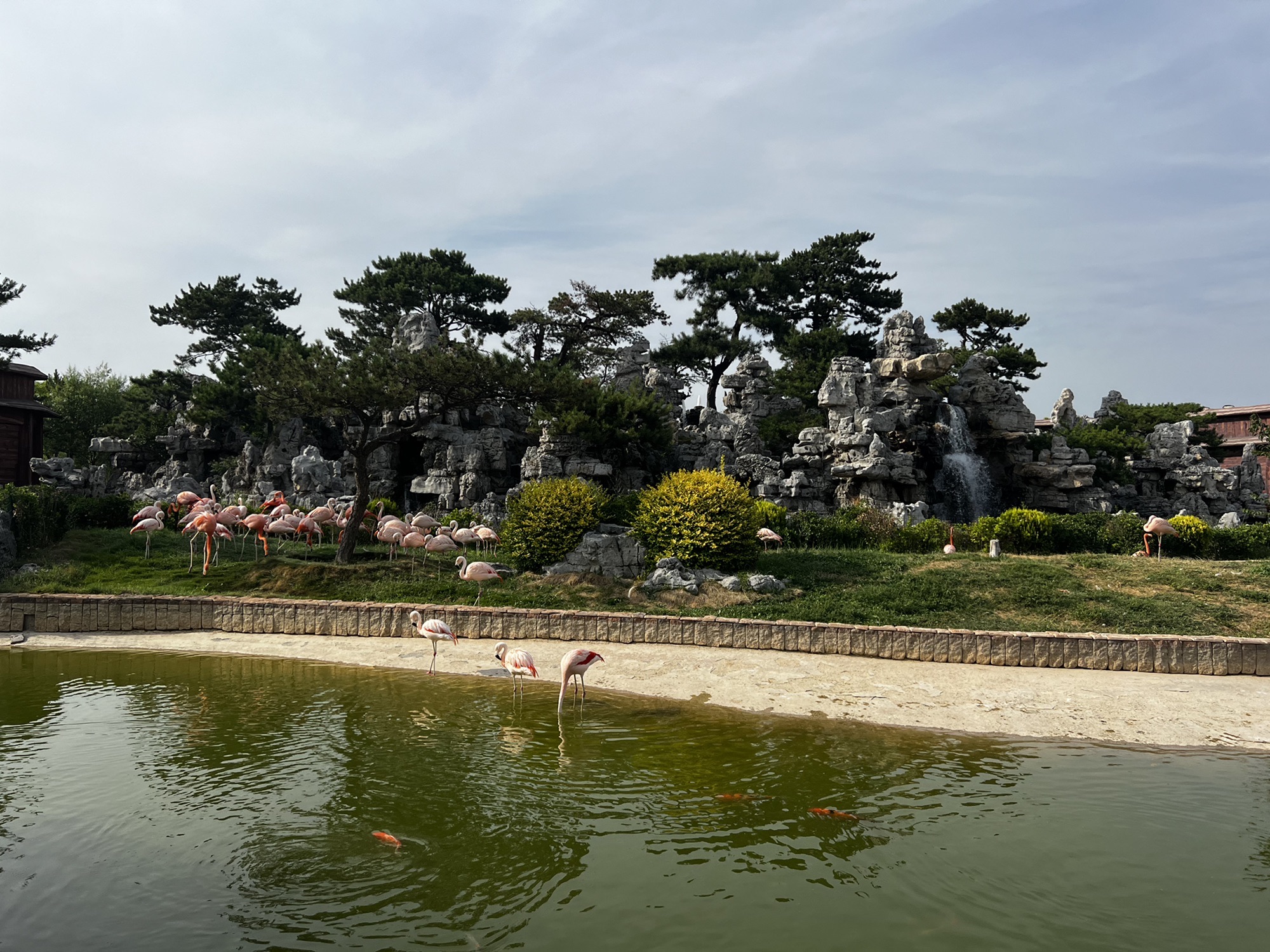 泉城欧乐堡动物王国旅行图片 2