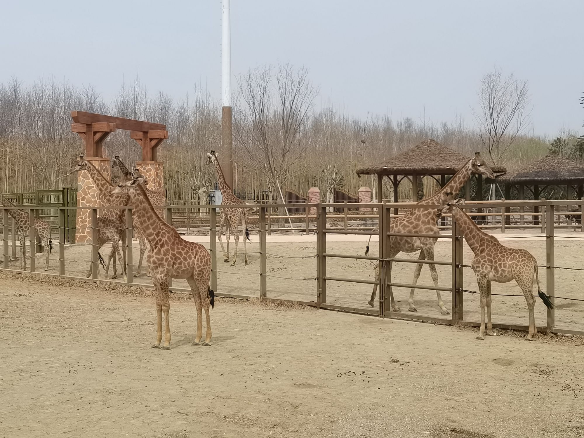 泉城欧乐堡动物王国旅行图片 3