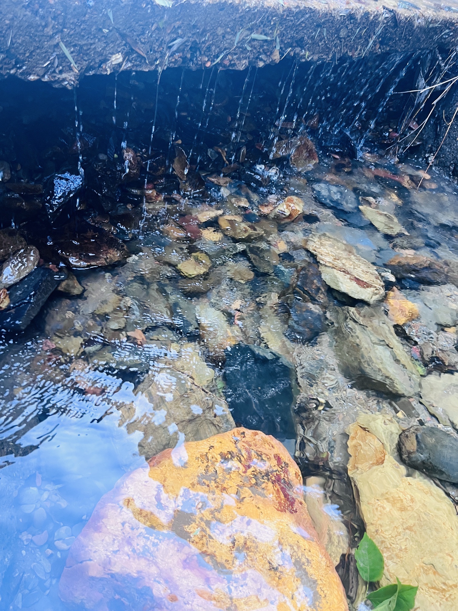 长寿清水景区旅行图片 3