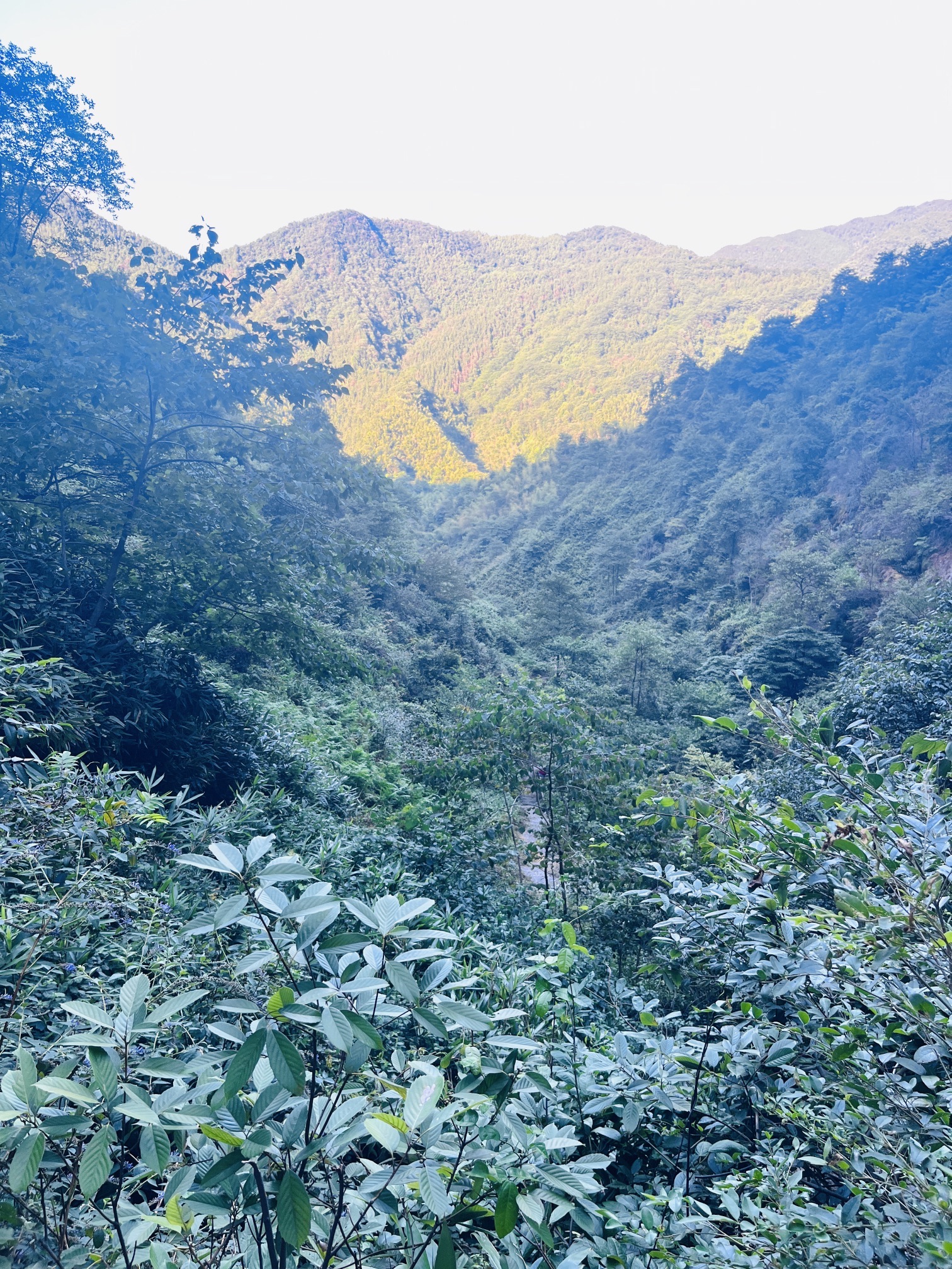 长寿清水景区旅行图片 2