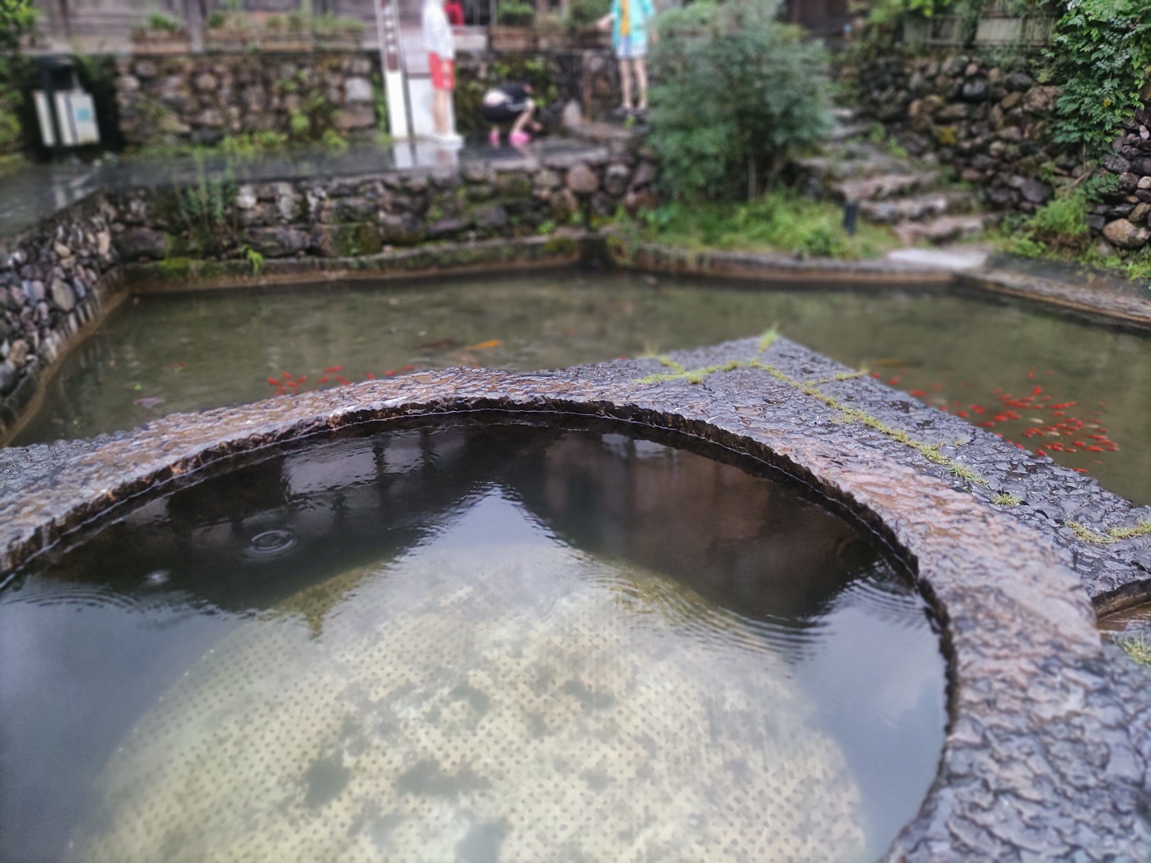 长寿清水景区旅行图片 3