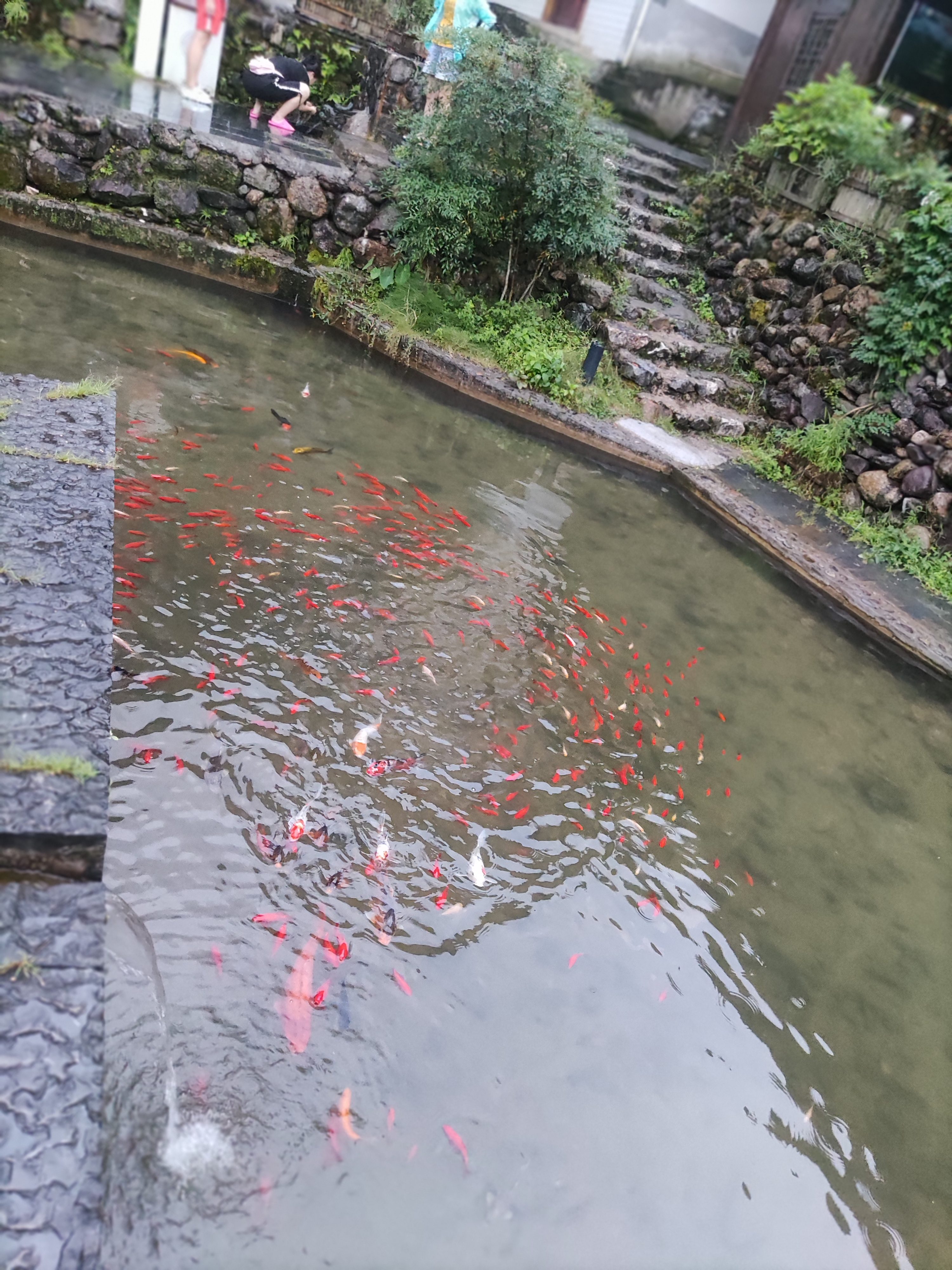 长寿清水景区旅行图片 2
