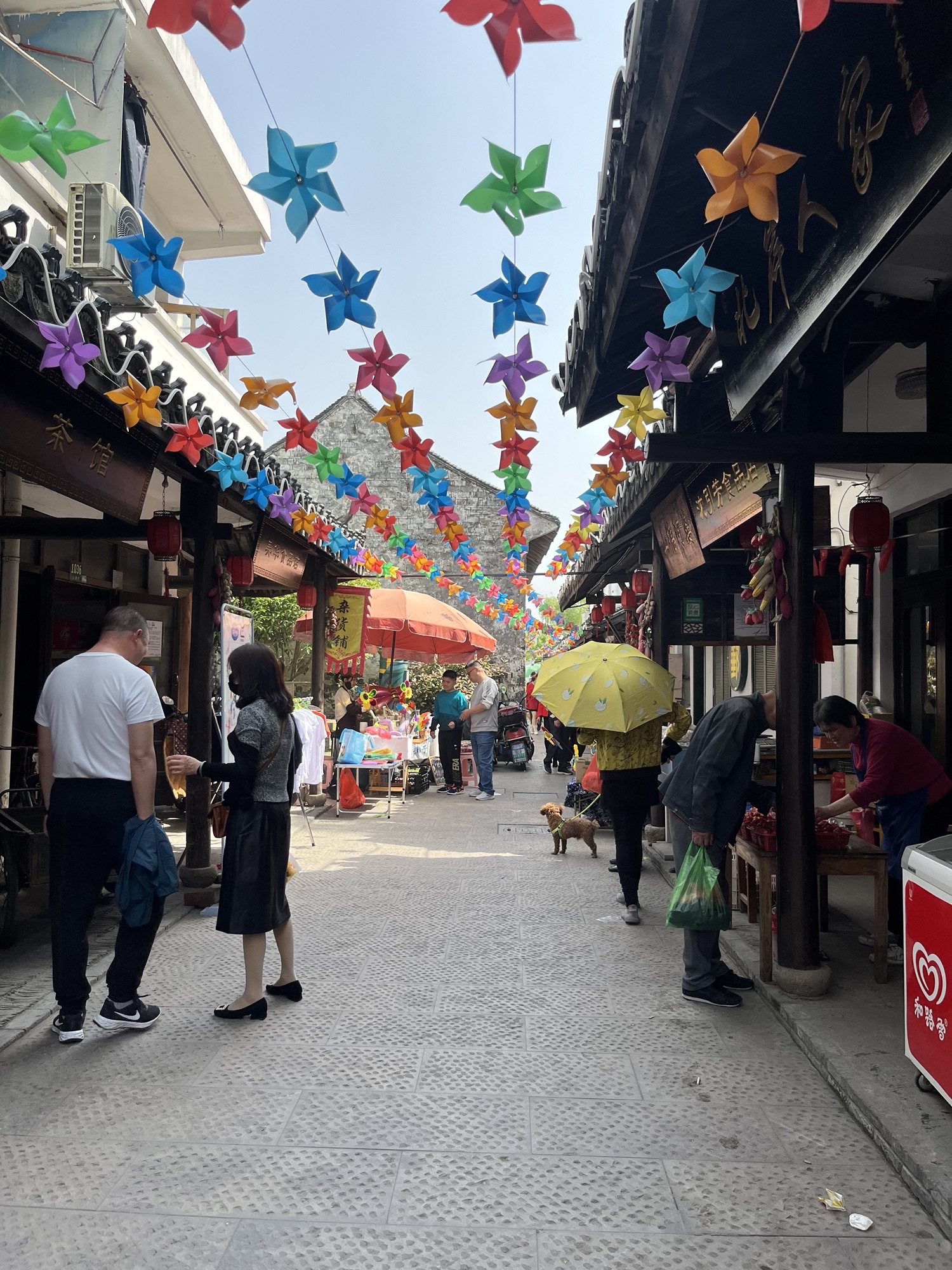 明月山塘旅行图片 3