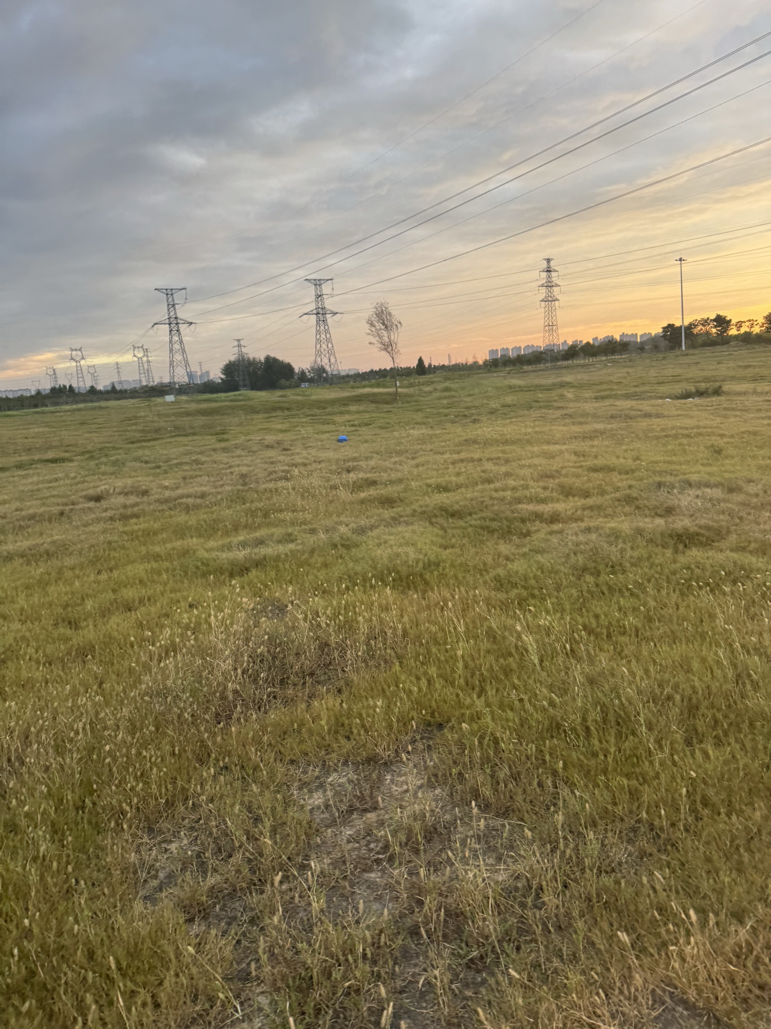 御风生态公园旅行图片 1