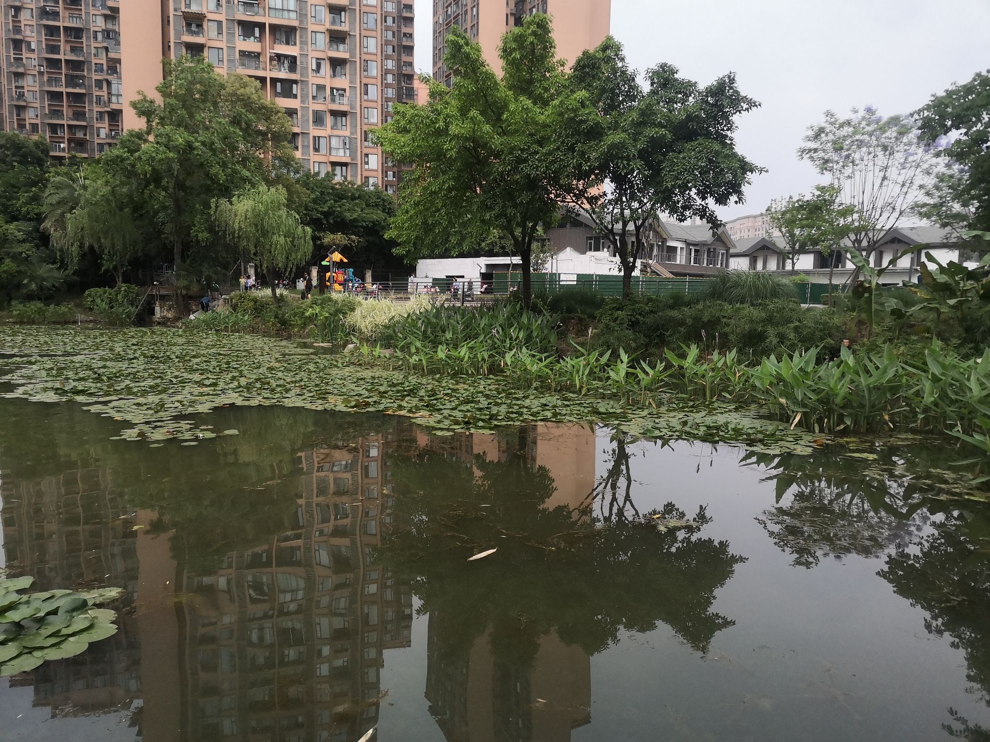 大观堰公园旅行图片 3