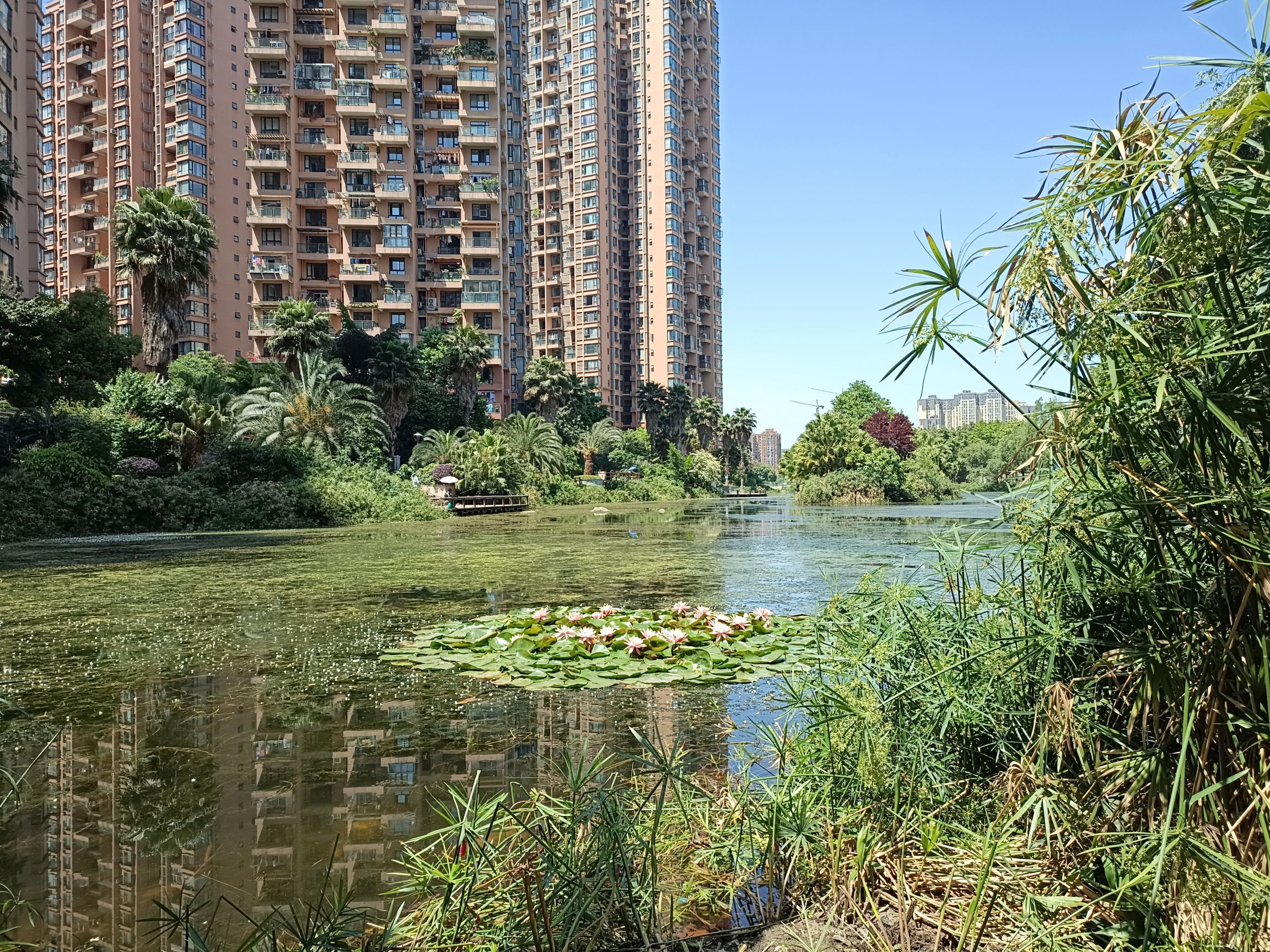 大观堰公园旅行图片 1