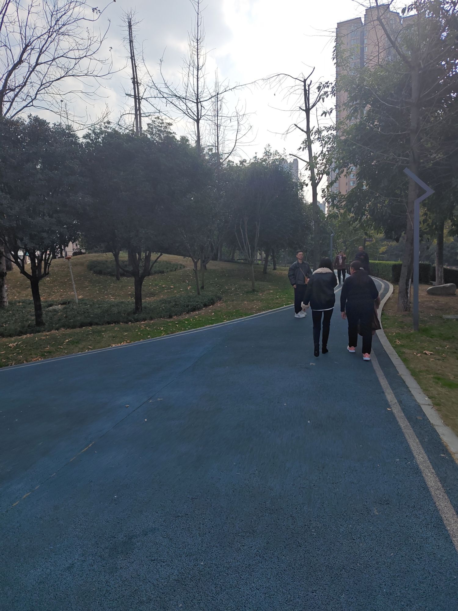 大观堰公园旅行图片 1