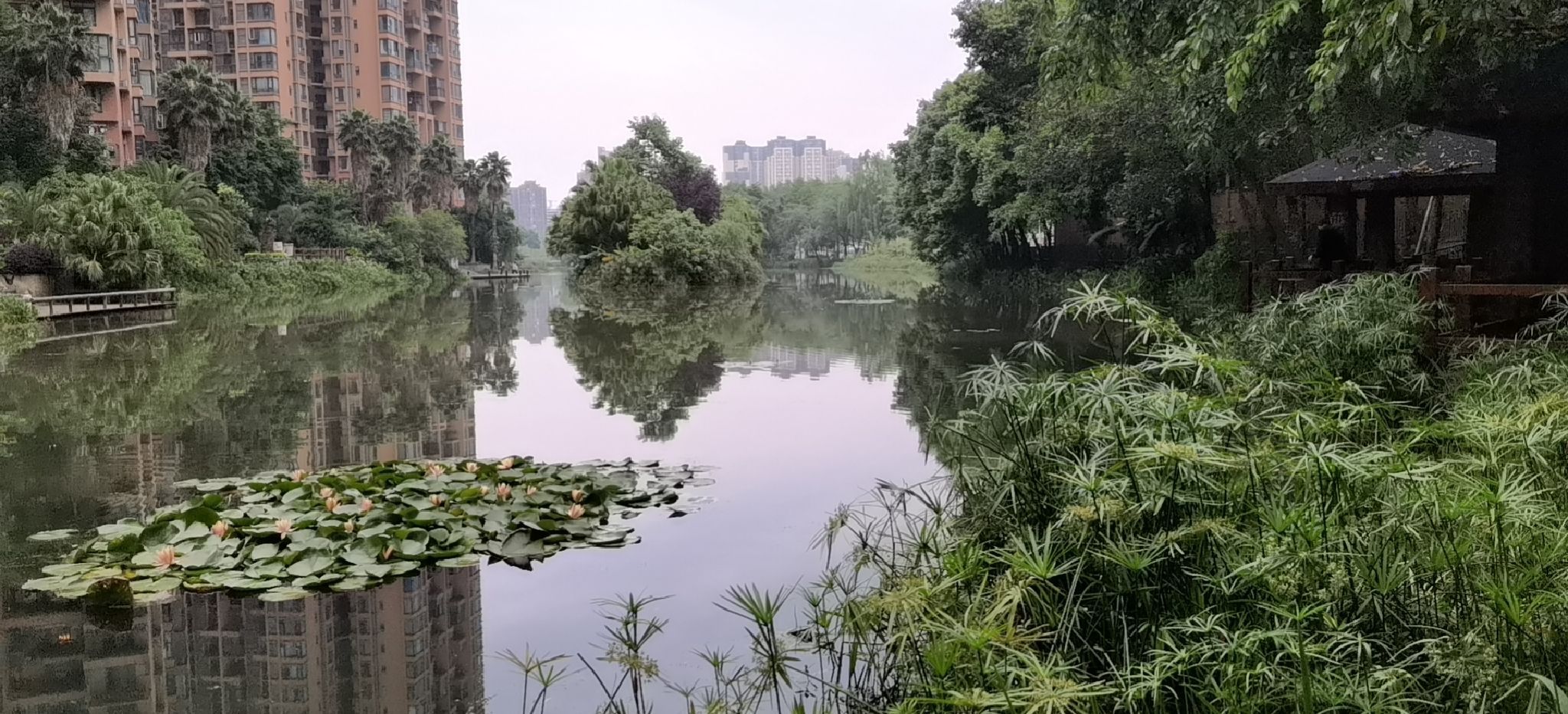 大观堰公园旅行图片 1