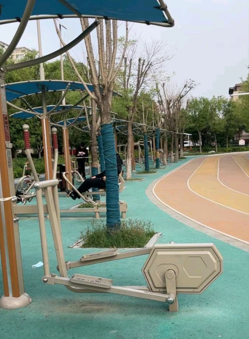 原阳体育公园旅行图片 2