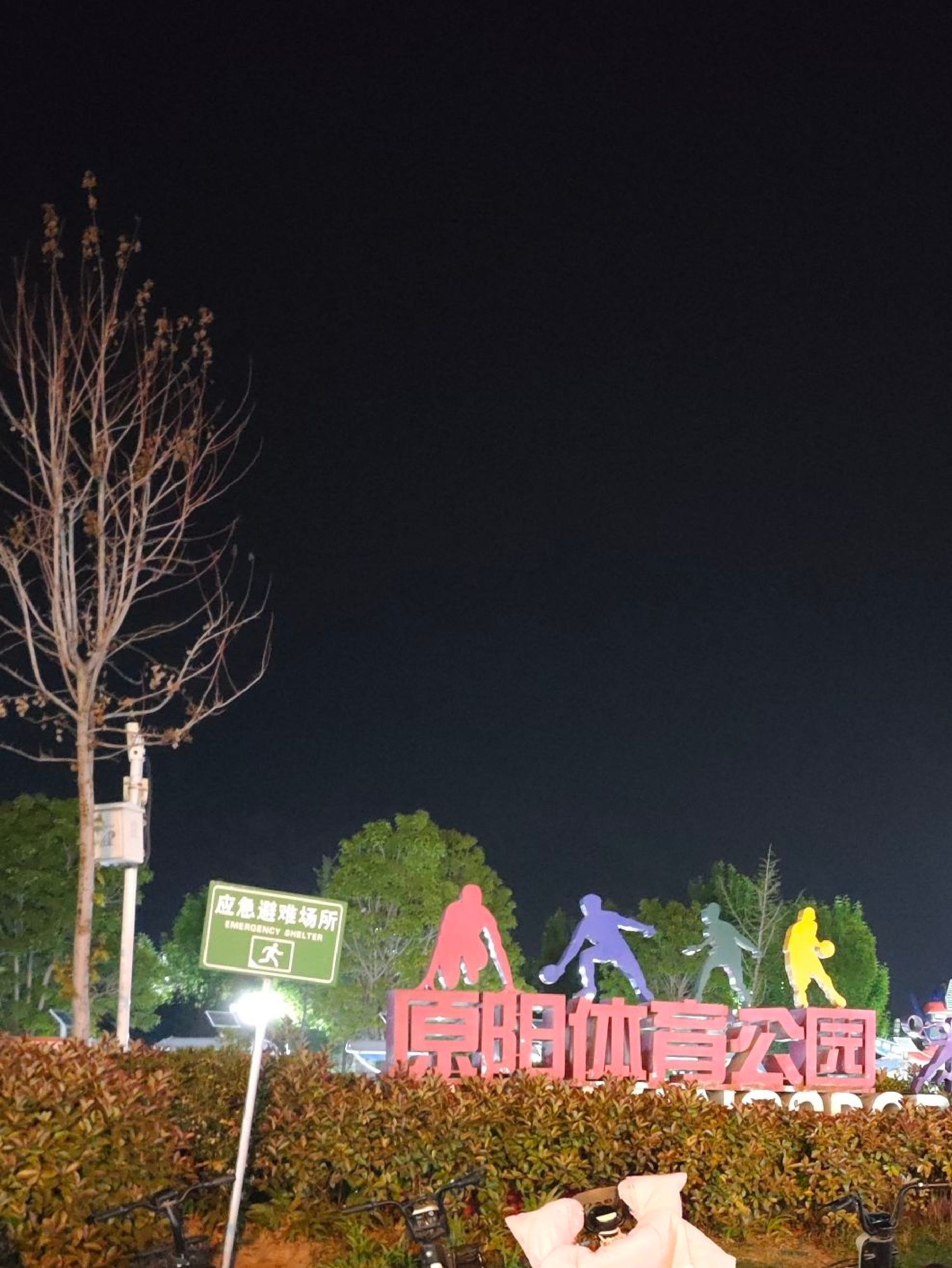 原阳体育公园旅行图片 1