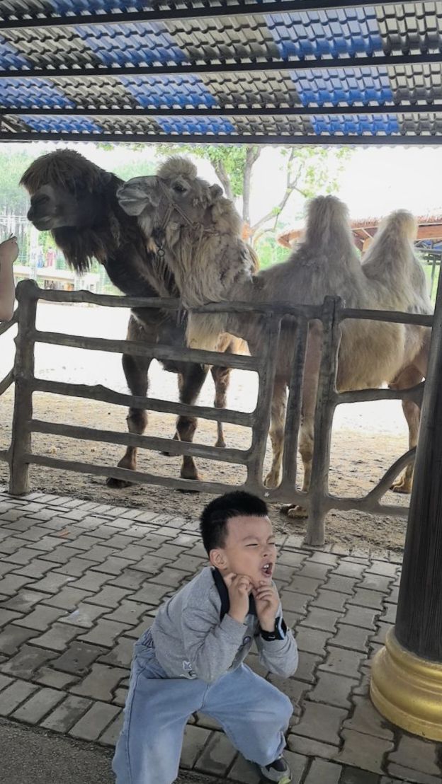 湖南常德野生动物世界旅行图片 2