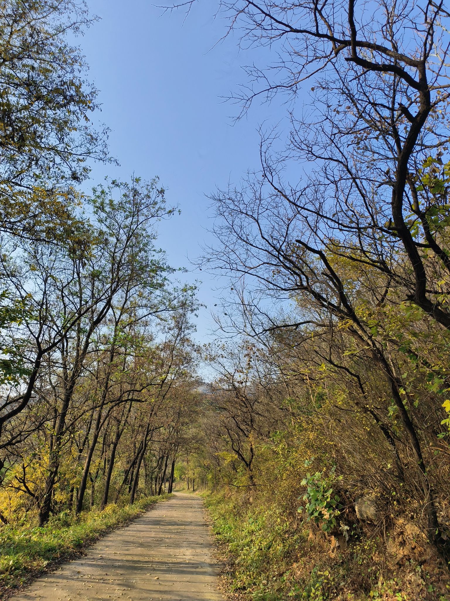 石峡关步道旅行图片 1