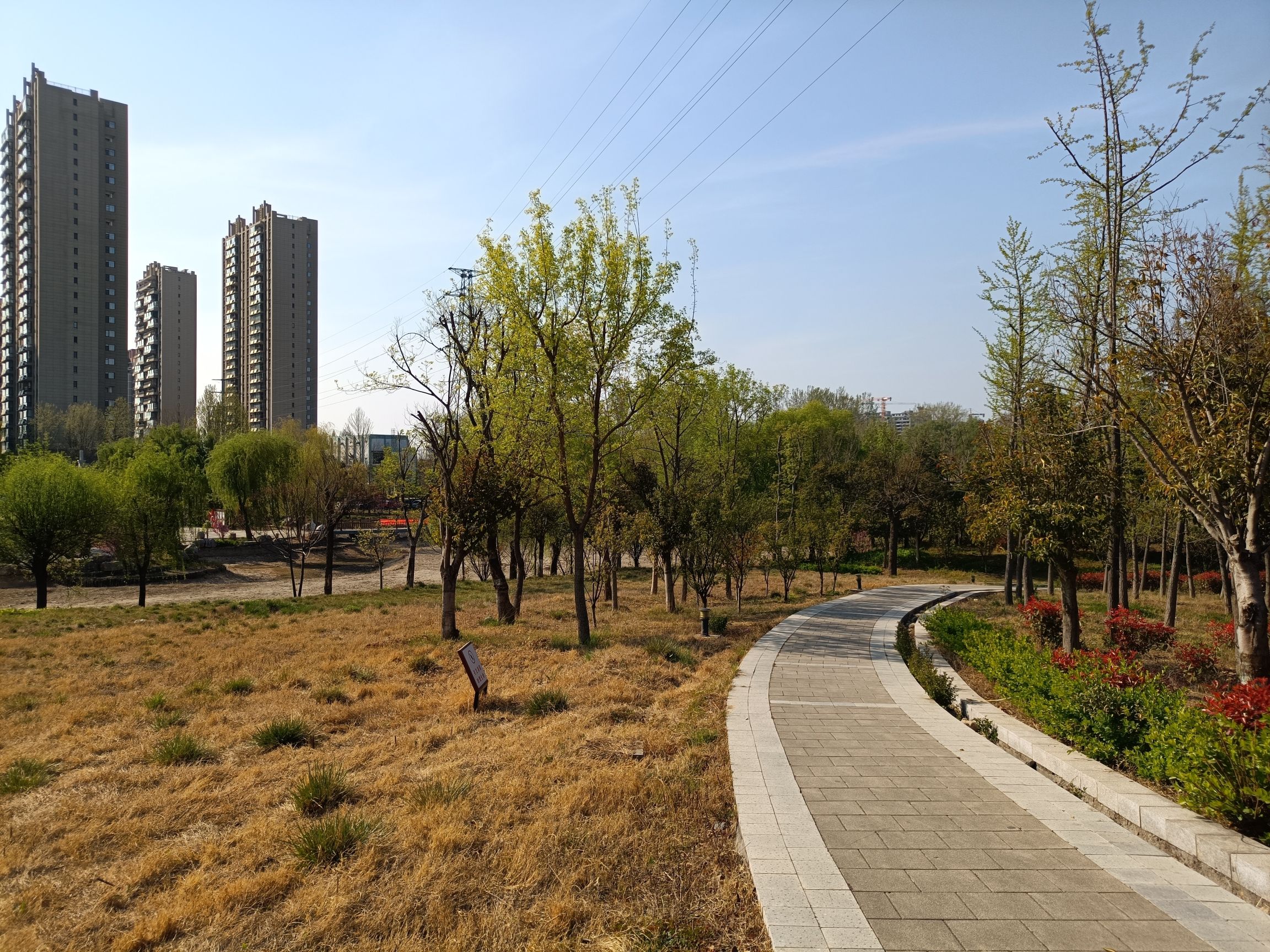 青莲公园旅行图片 2