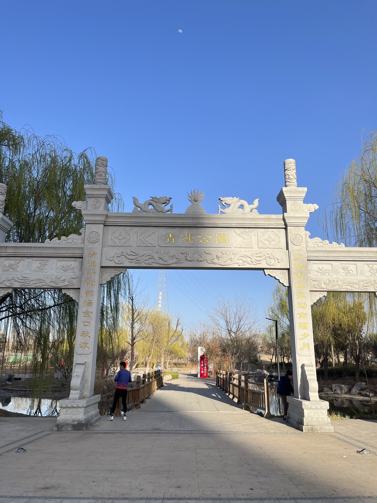 青莲公园旅行图片 1