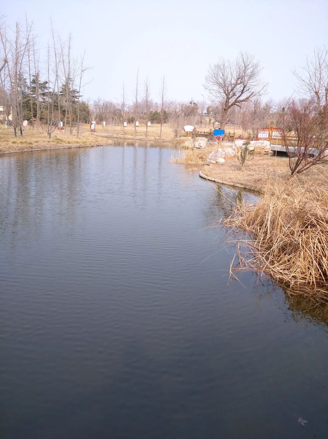青莲公园旅行图片 3