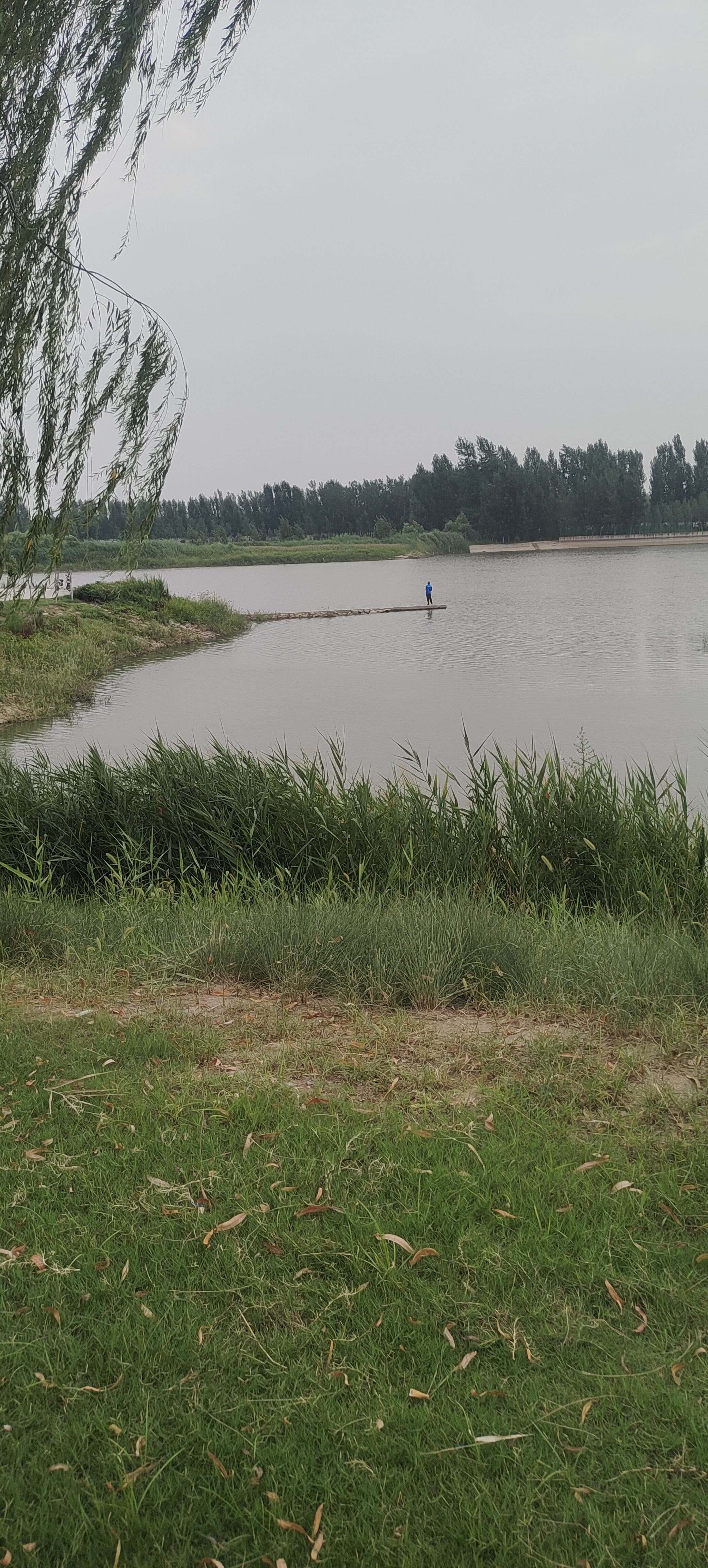 青莲公园旅行图片