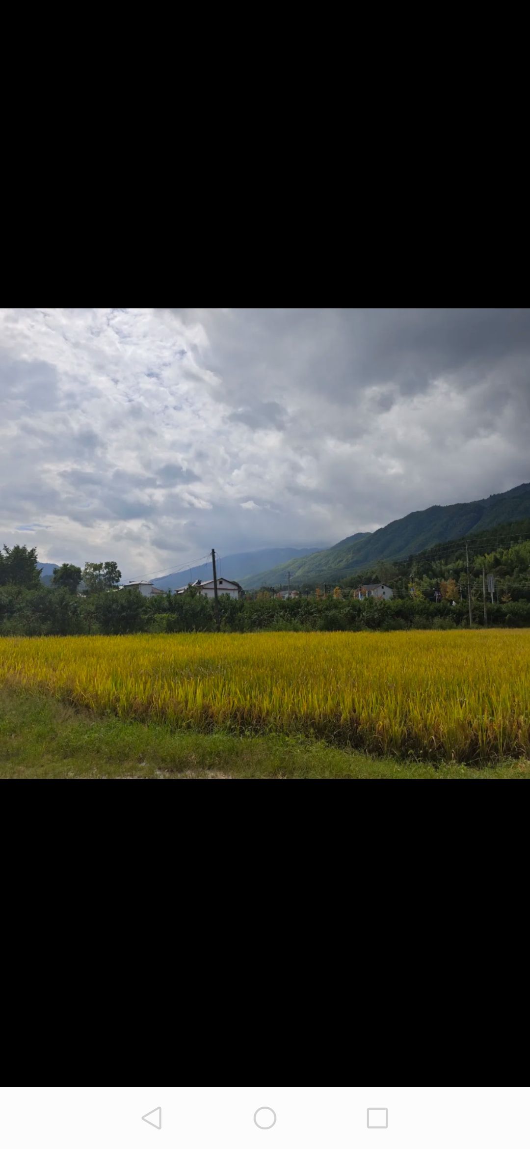 中源乡避暑小镇旅行图片 1