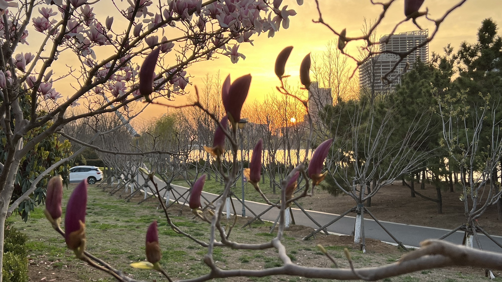 青岛葫芦巷主题公园旅行图片 2