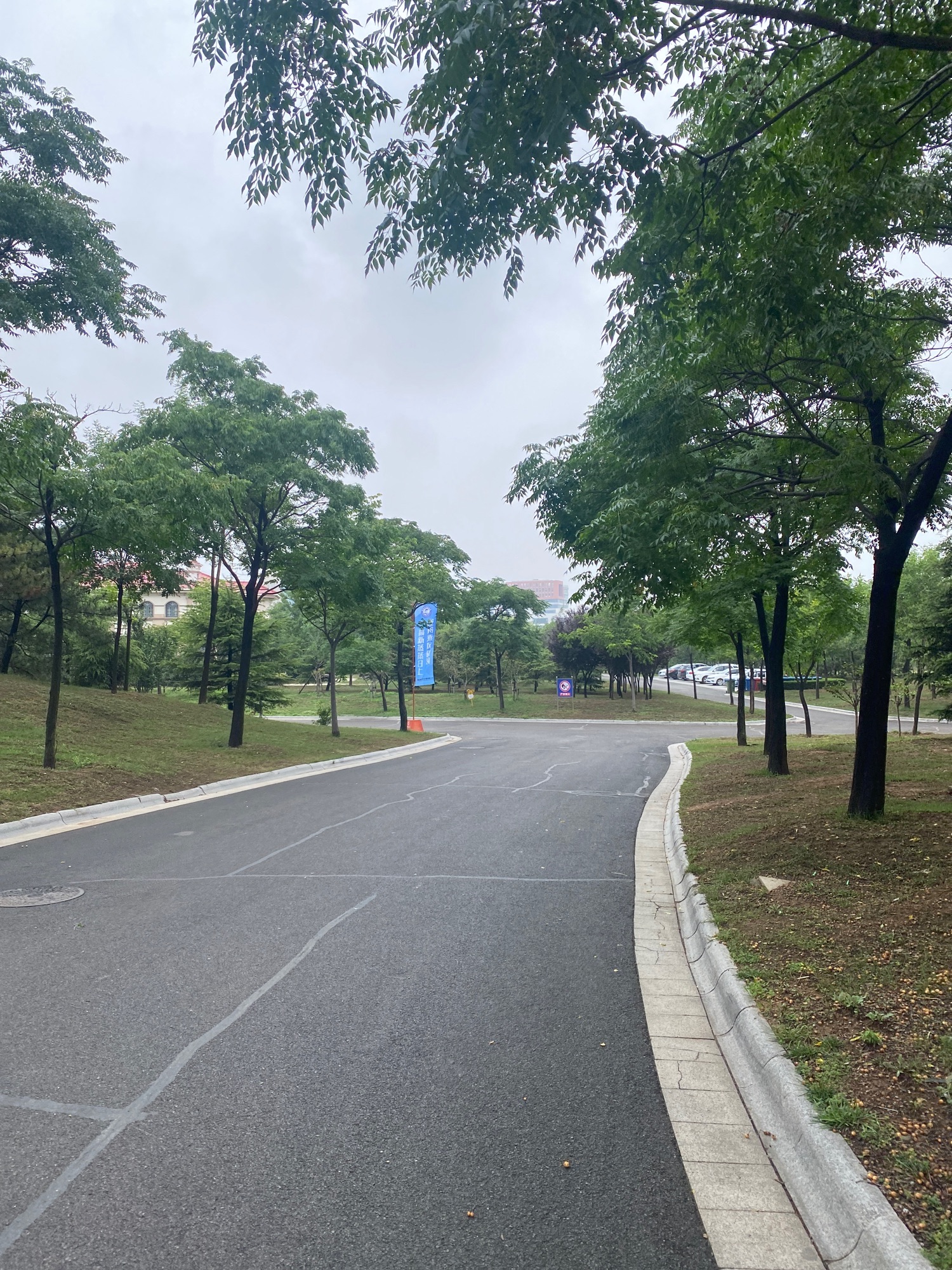青岛葫芦巷主题公园旅行图片 1