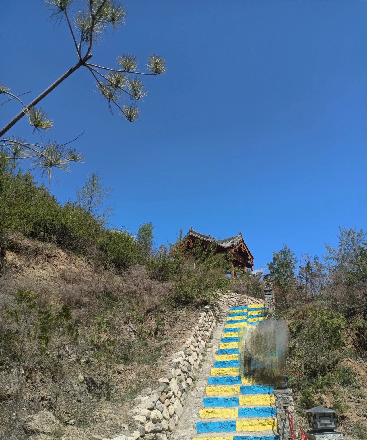 凤岛孔雀小镇旅行图片 1