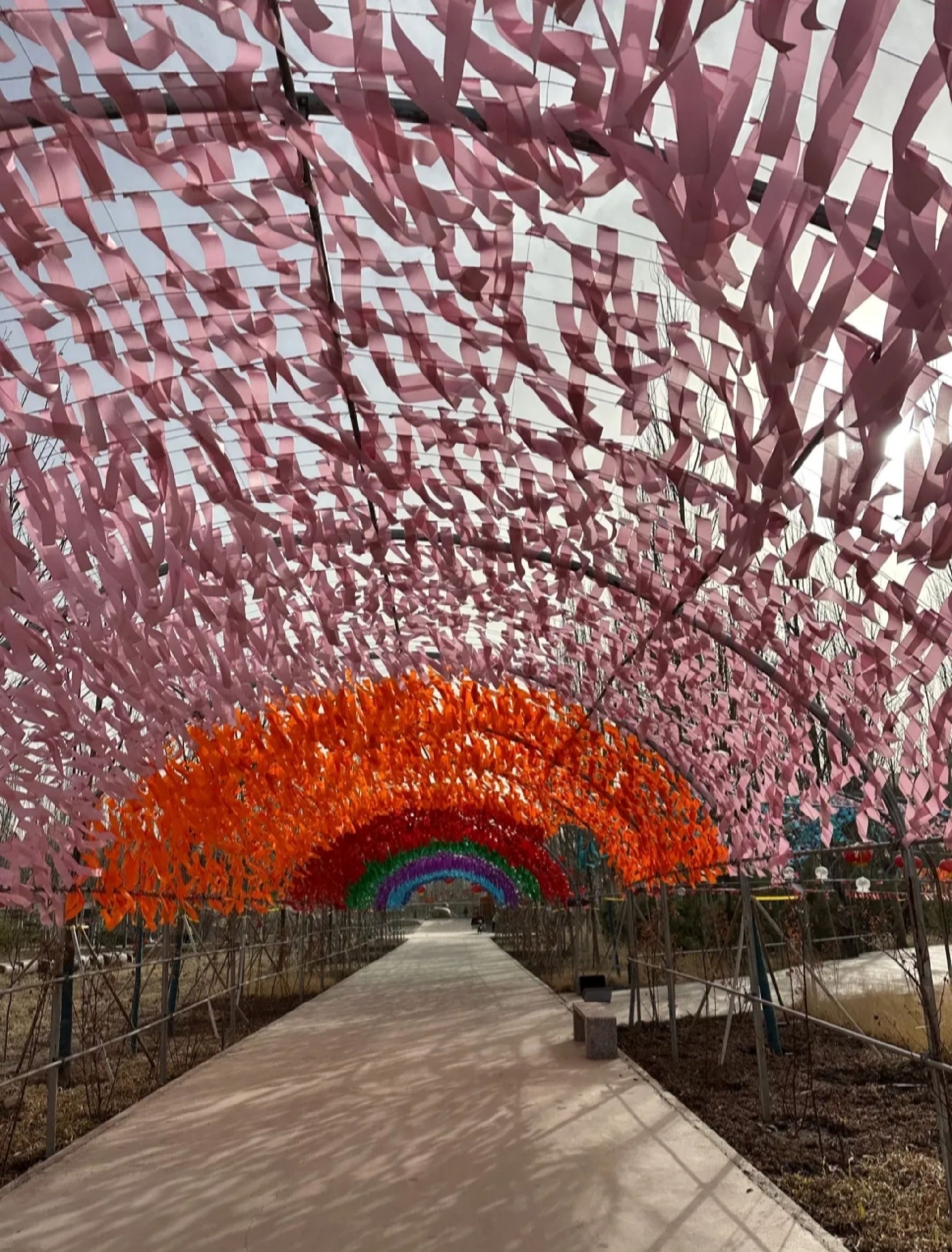 凤岛孔雀小镇旅行图片 1