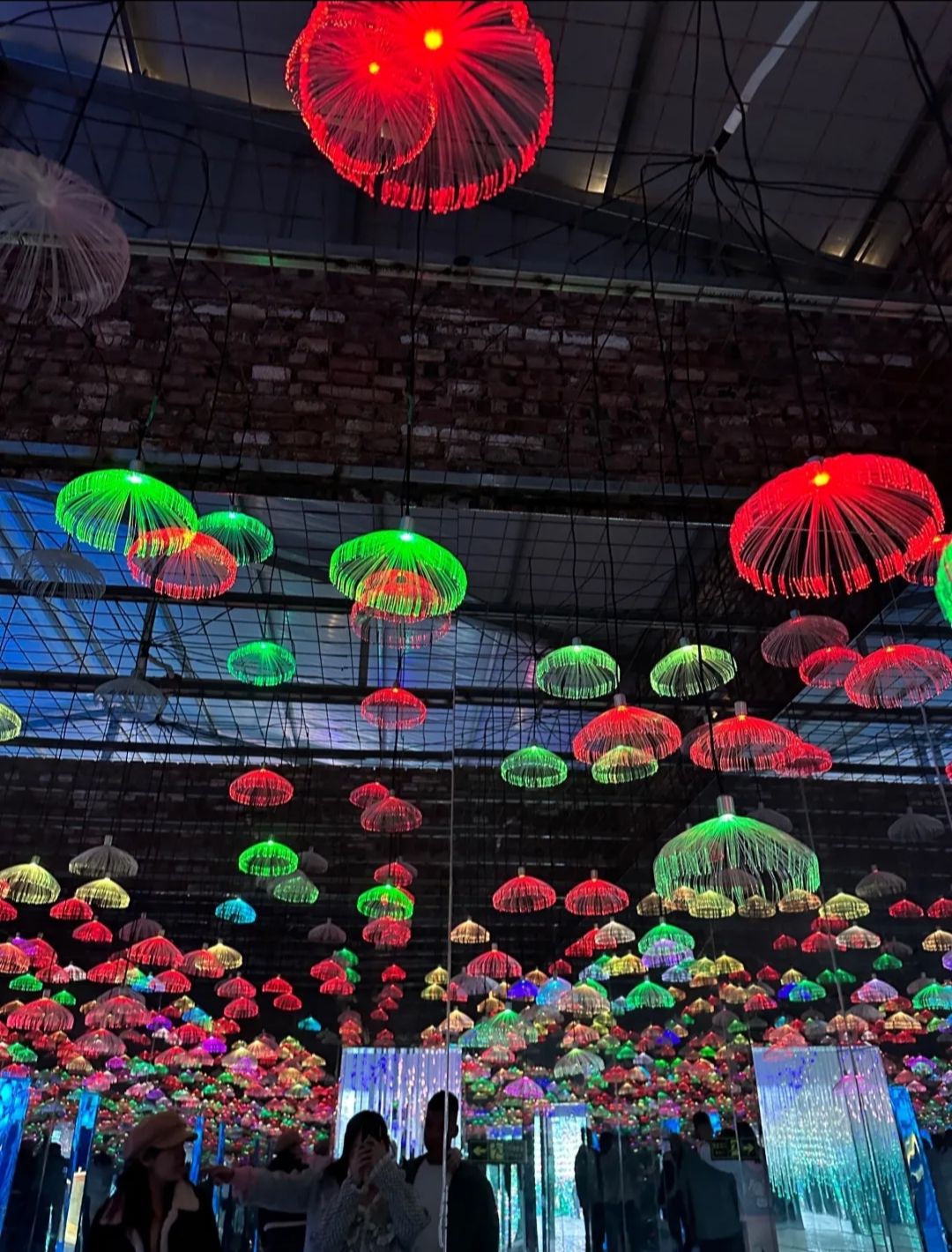 凤岛孔雀小镇旅行图片 3