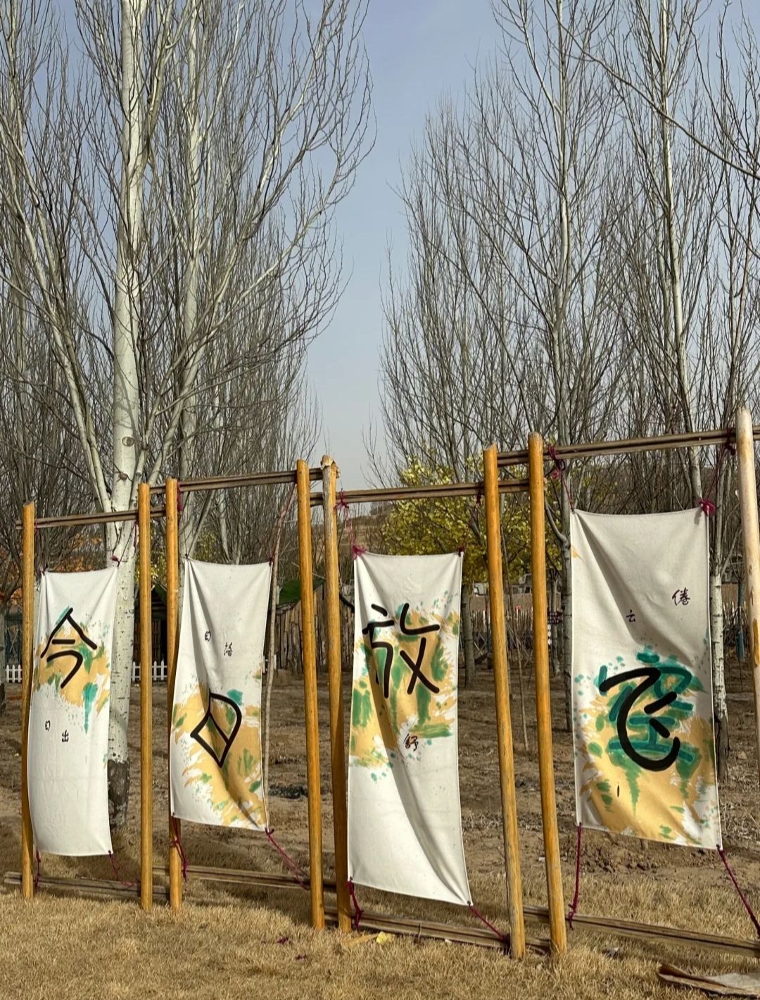 凤岛孔雀小镇旅行图片 2