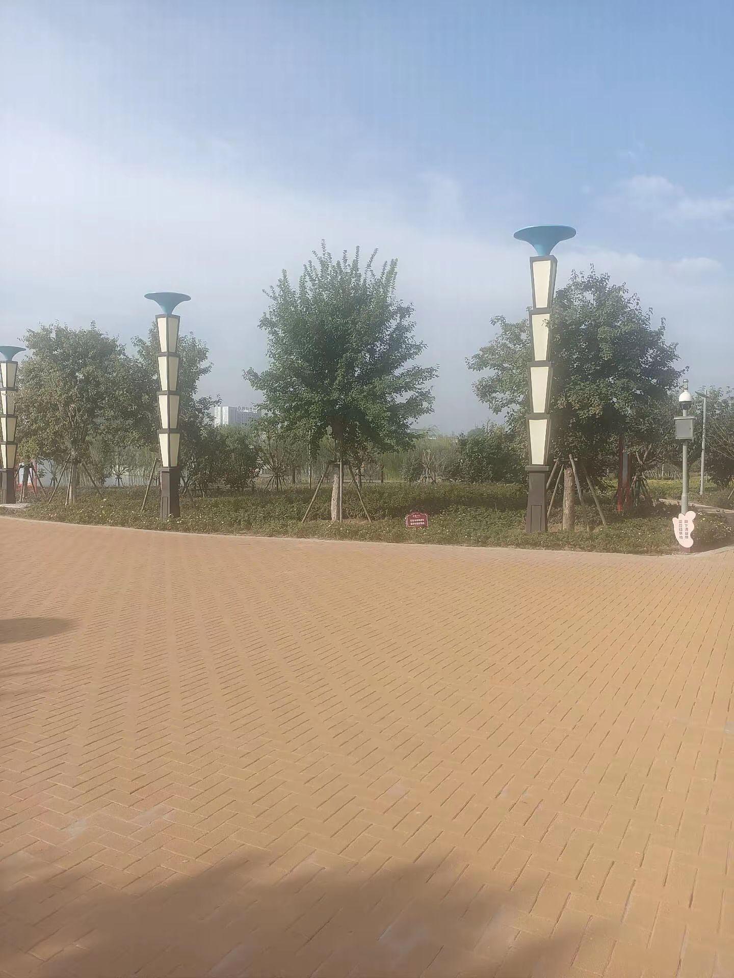 焦作市沁泉湖公园旅行图片 2