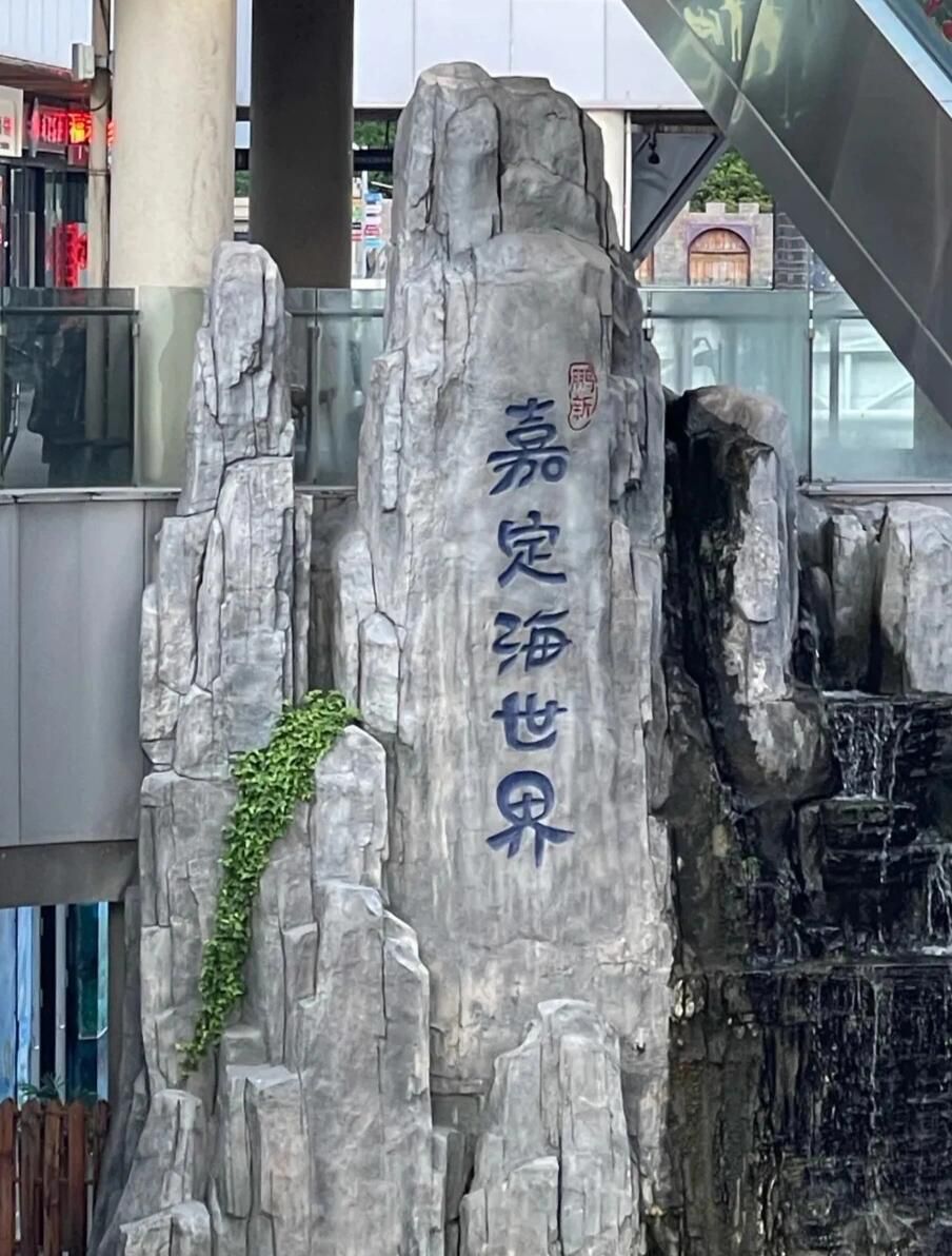 鹏新嘉定海洋世界旅行图片 1