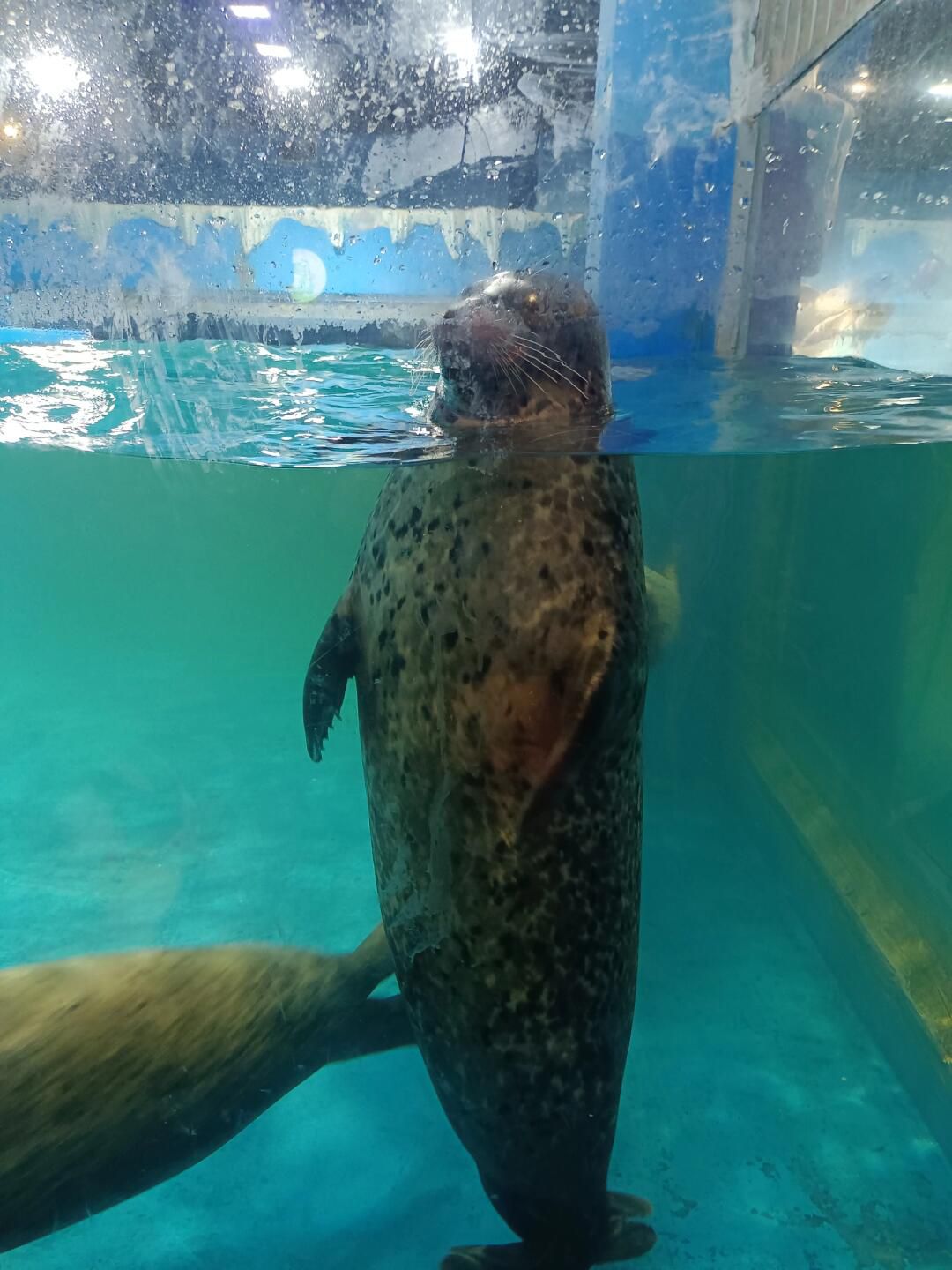 鹏新嘉定海洋世界旅行图片 3