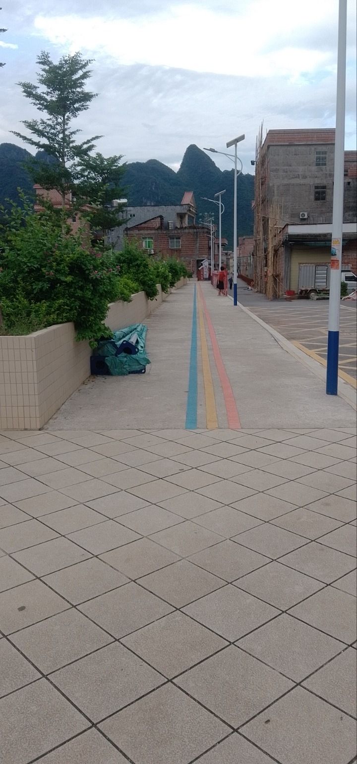 金燕广场旅行图片 2