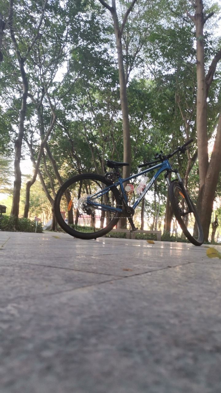 绿谷公园旅行图片 1