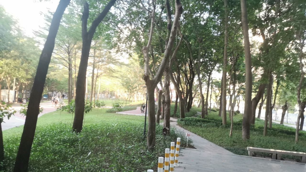 绿谷公园旅行图片 2