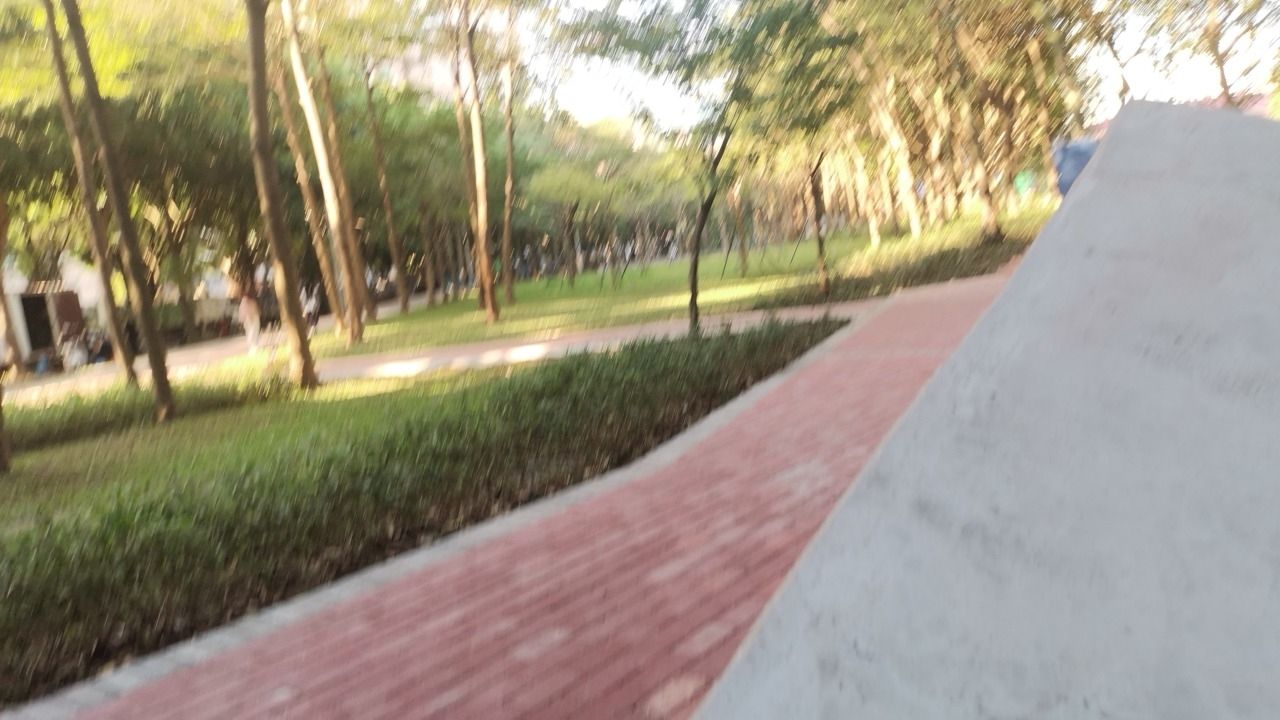 绿谷公园旅行图片 3
