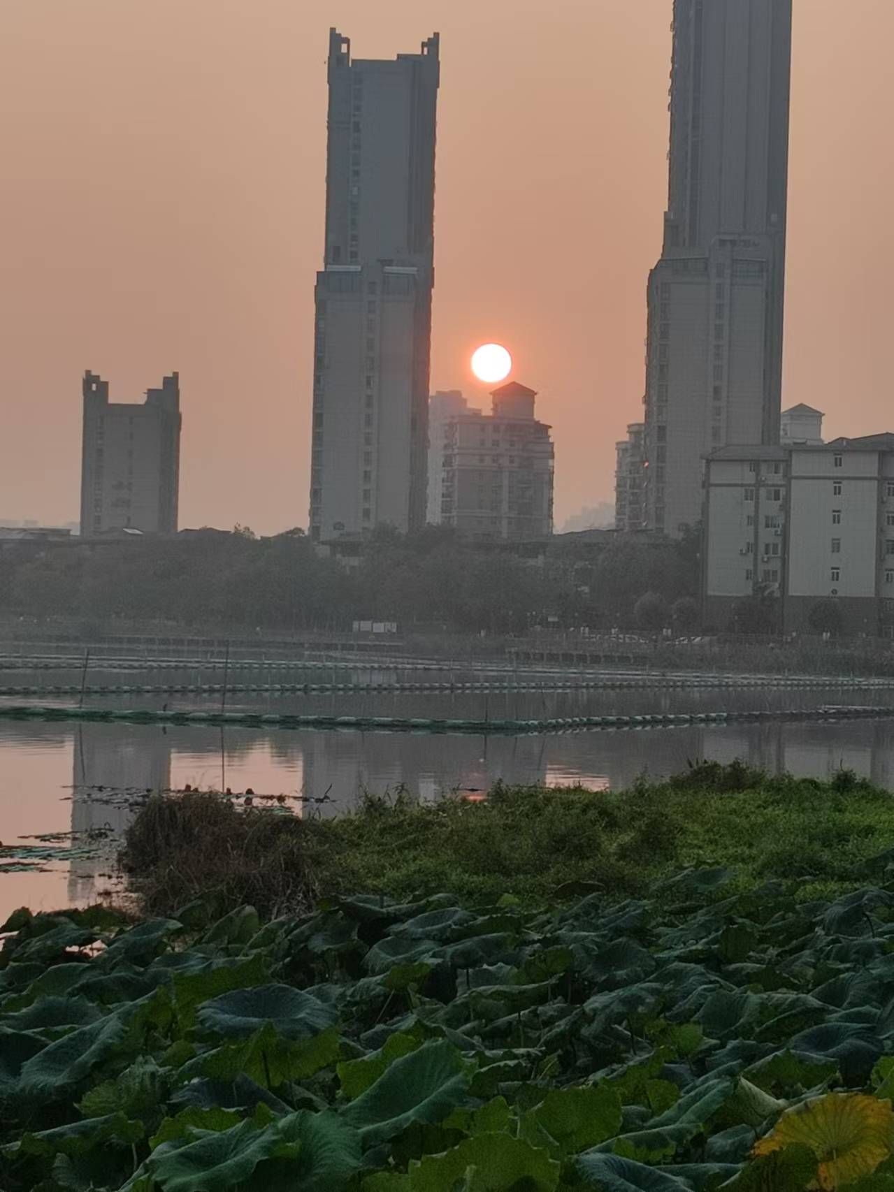 南湖花溪公园旅行图片 2