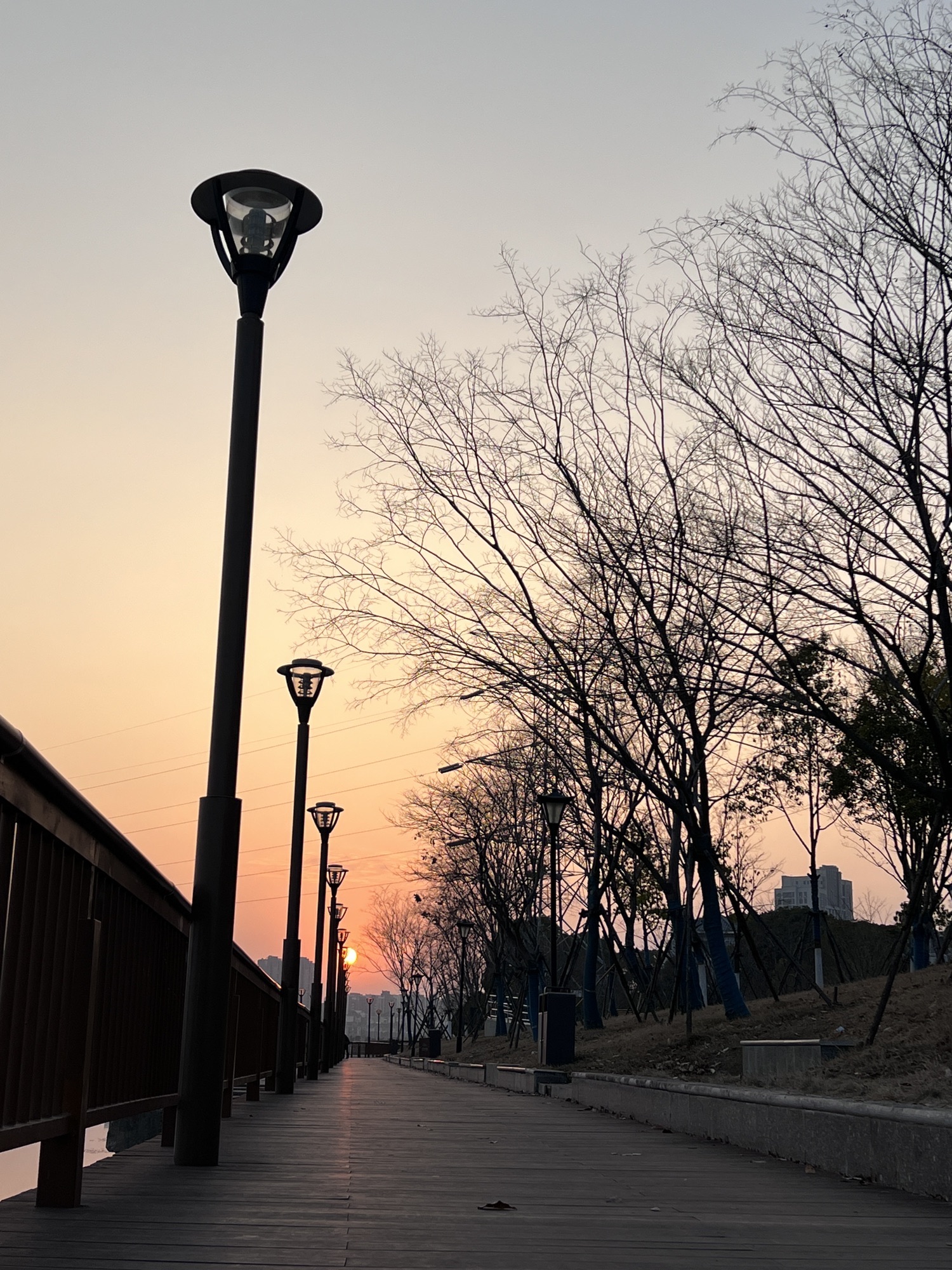 南湖花溪公园旅行图片 1