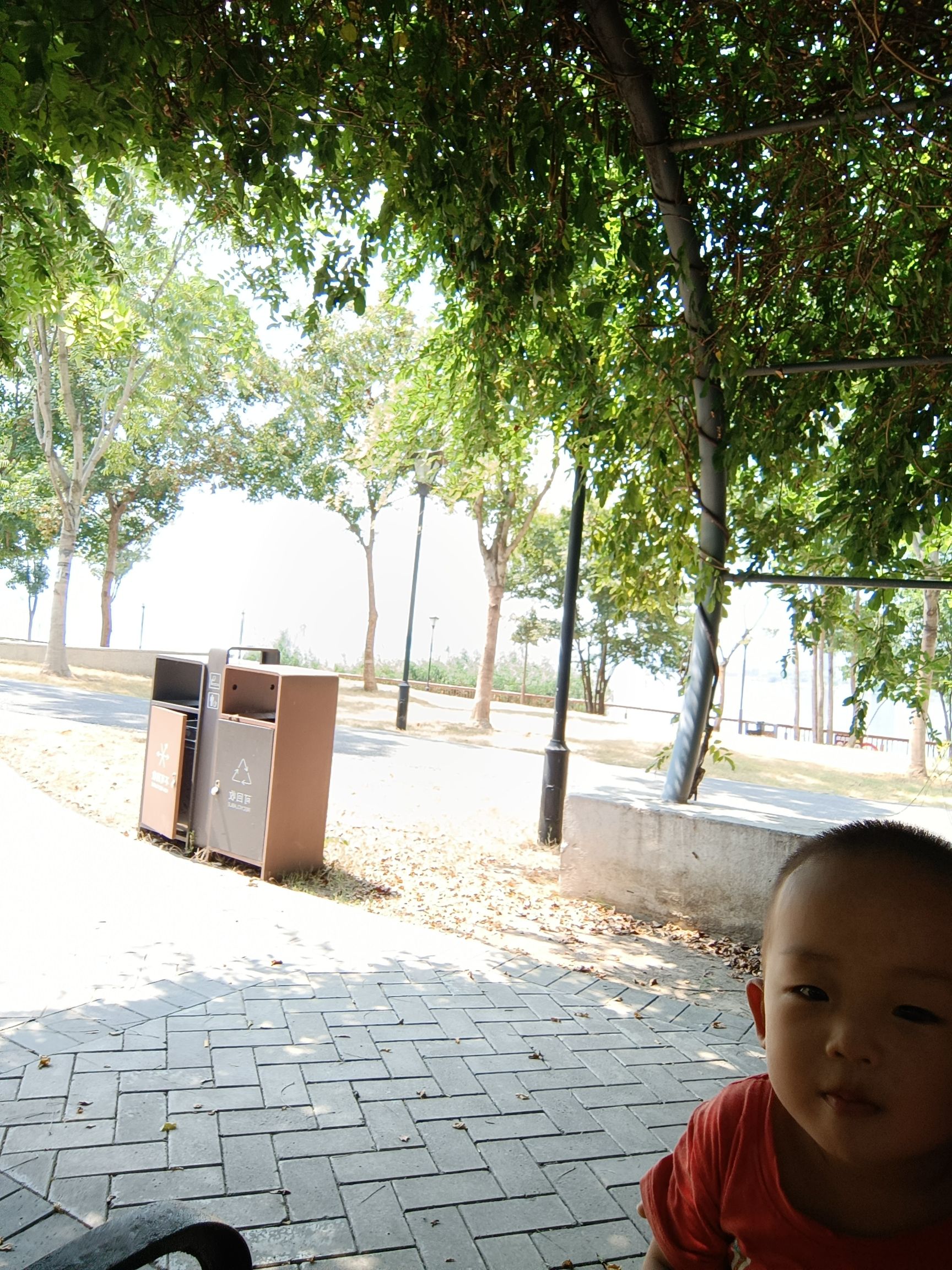 南湖花溪公园旅行图片 2