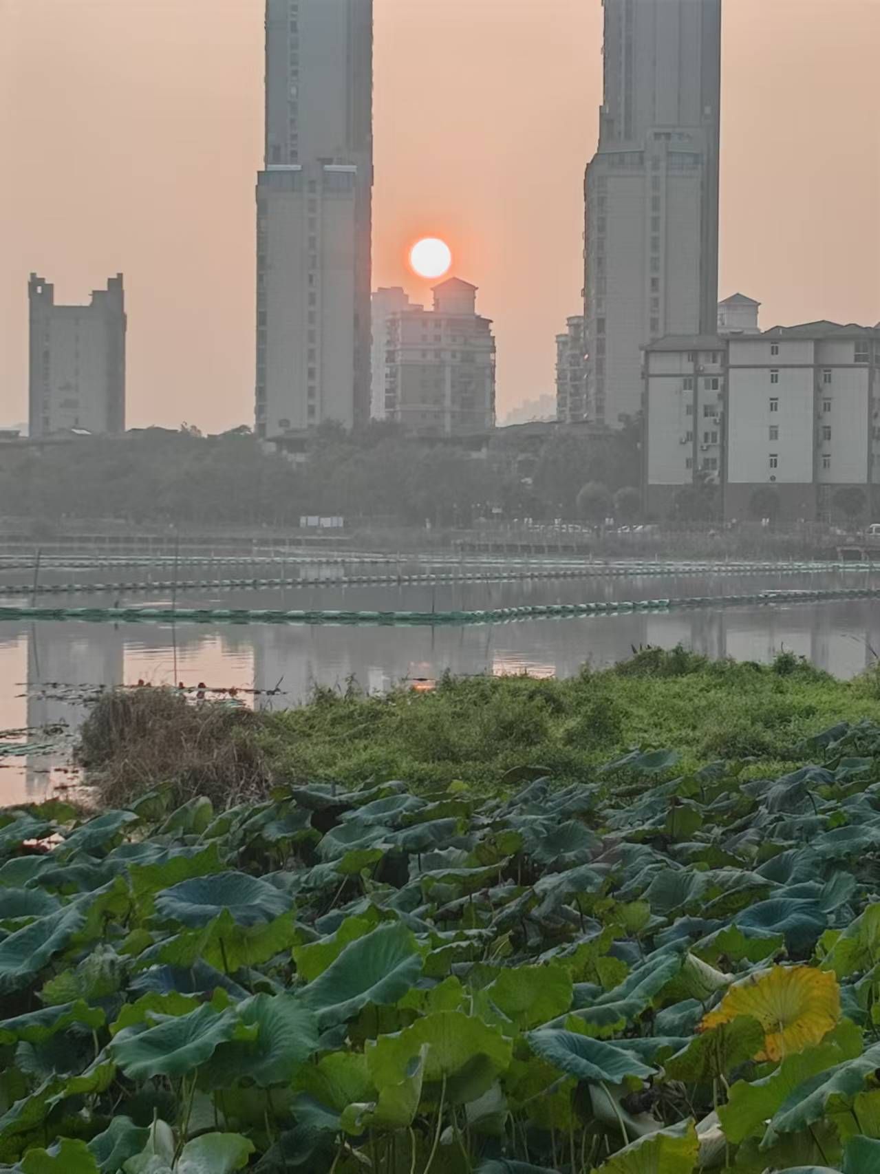 南湖花溪公园旅行图片 1