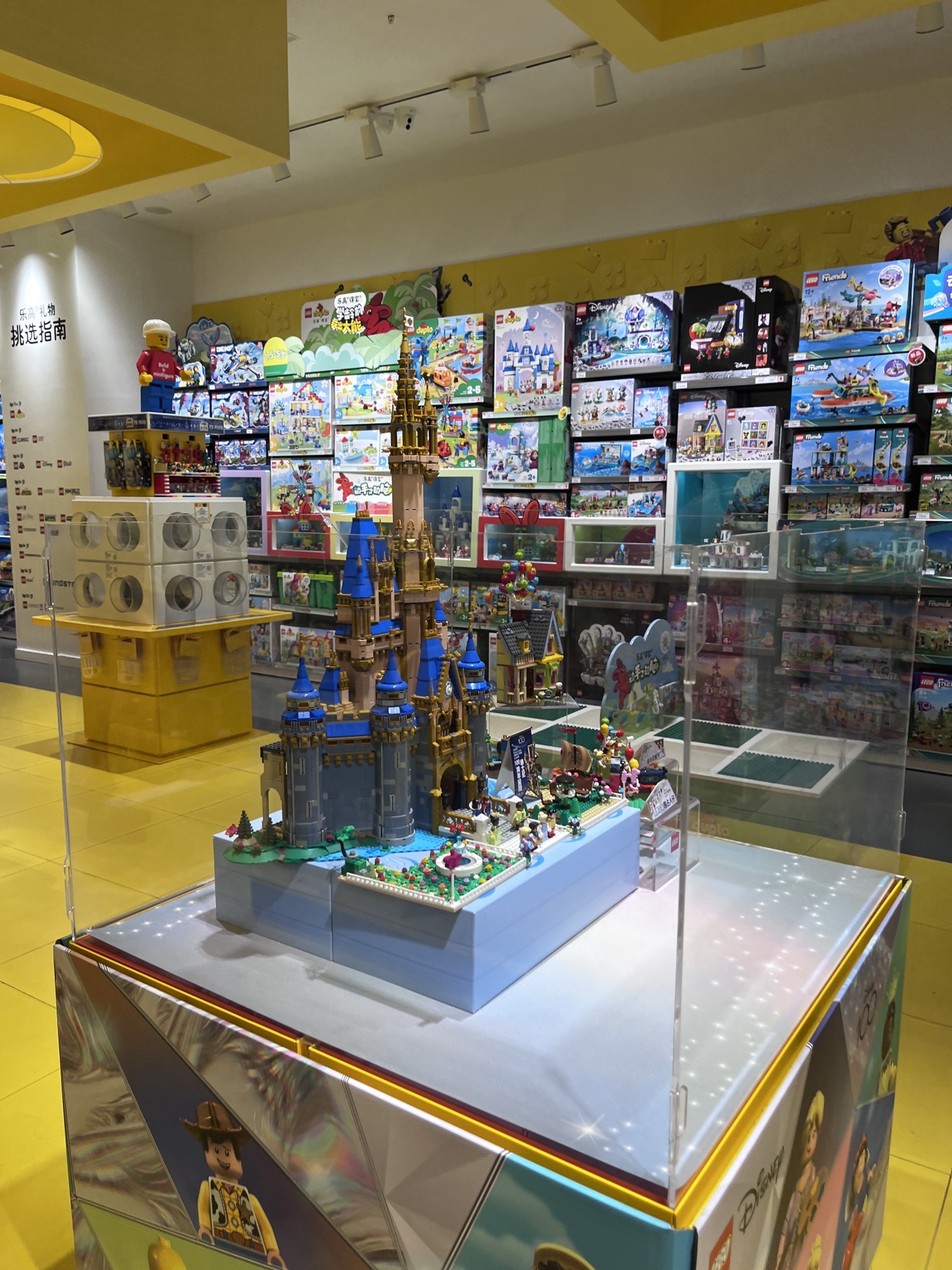 乐高授权专卖店(衡阳蒸湘万达广场店)