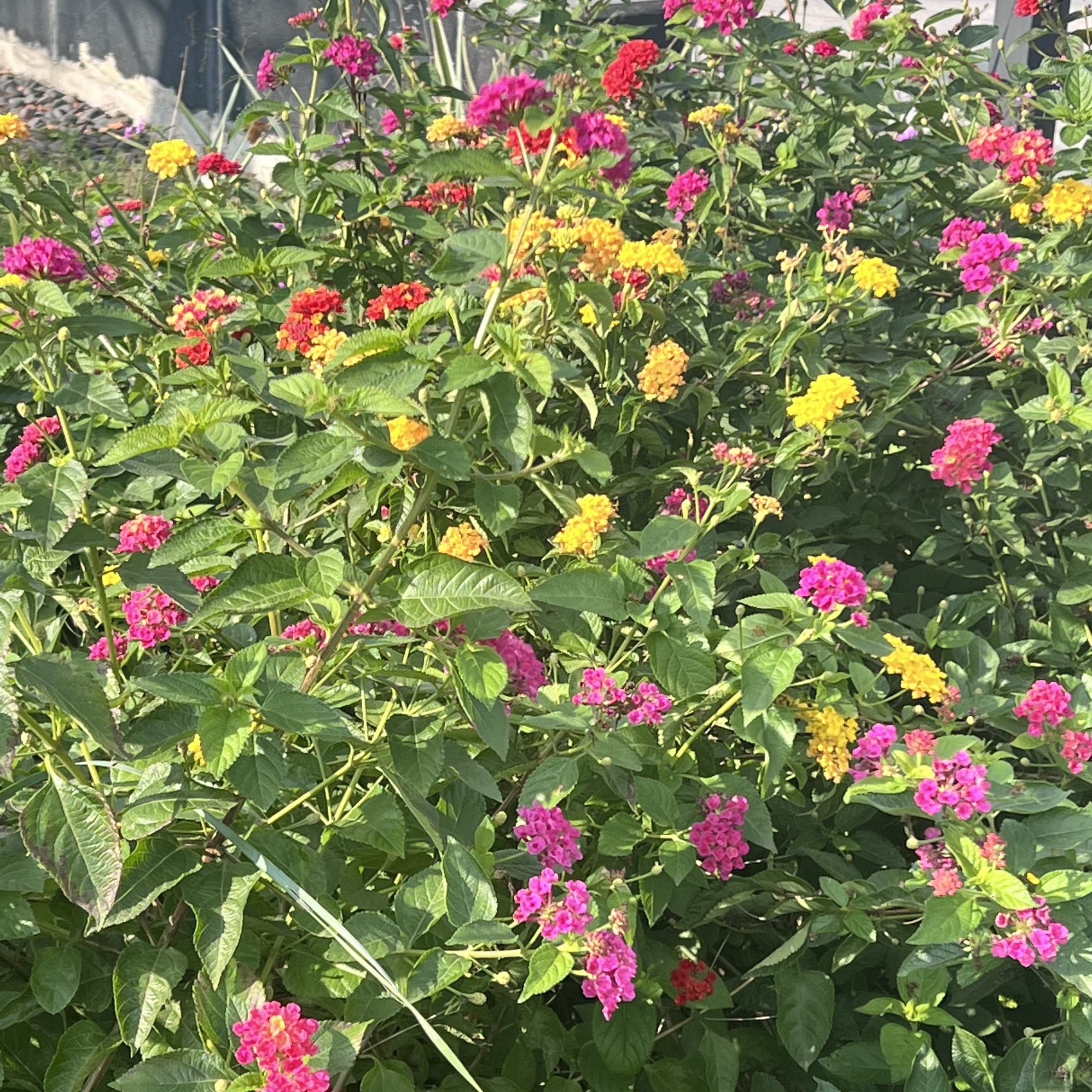 惜字塔公园旅行图片 3